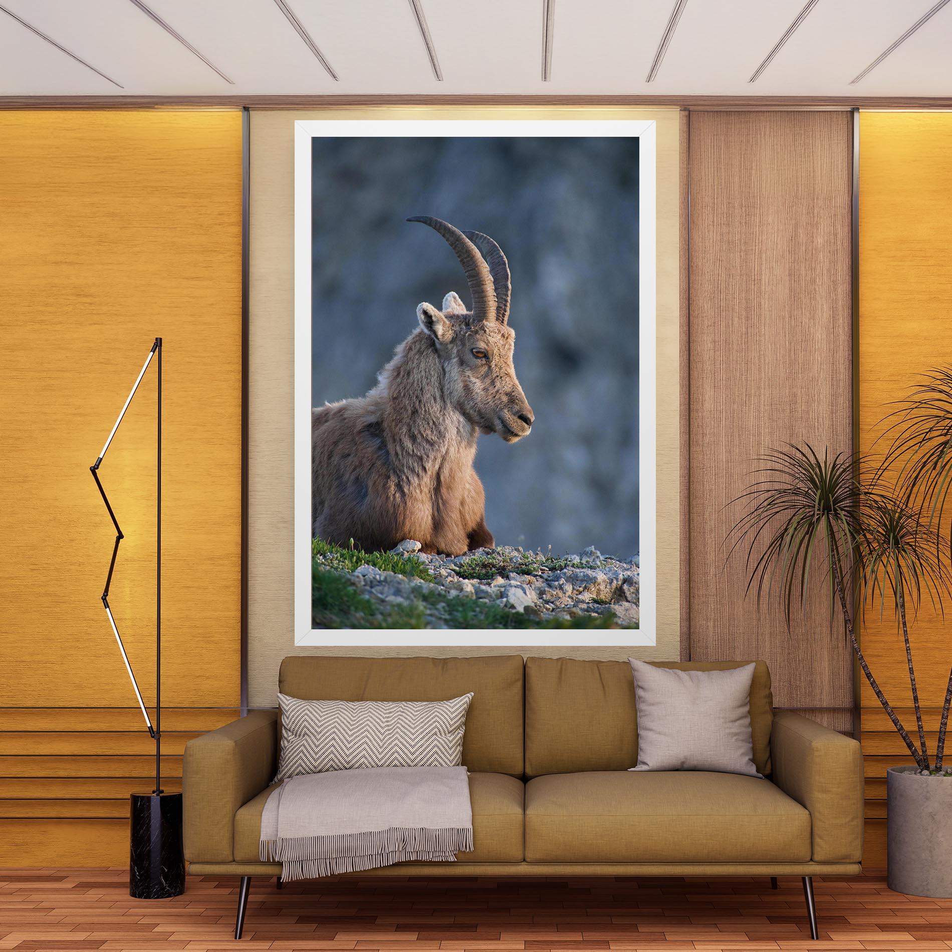 Leinwandbild Mountain Goat mockup 9