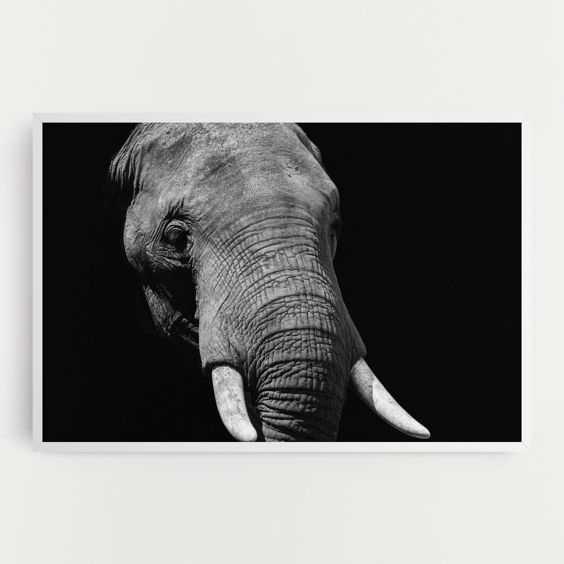 Leinwandbild Shadow Elephant mockup 0