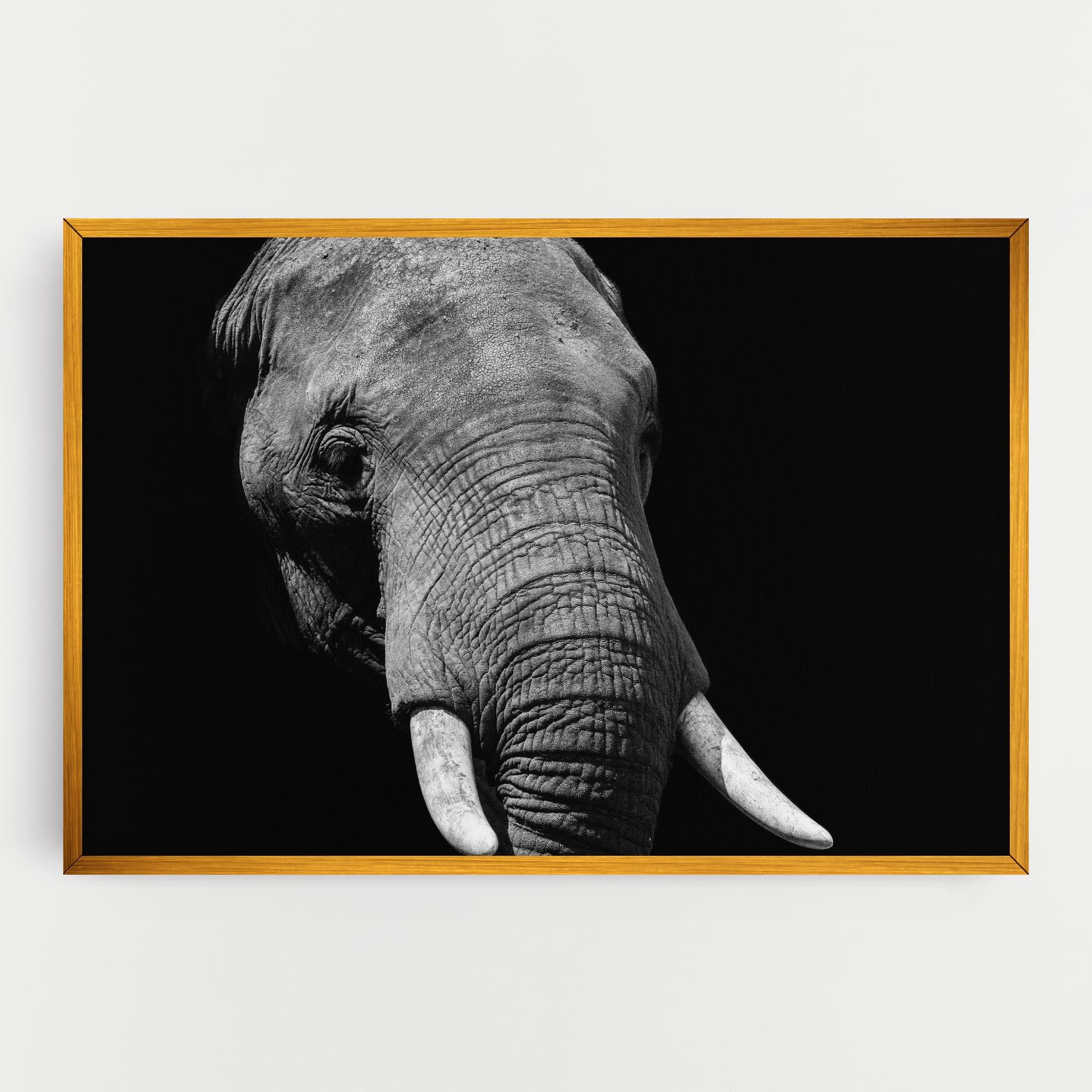 Leinwandbild Shadow Elephant mockup 0