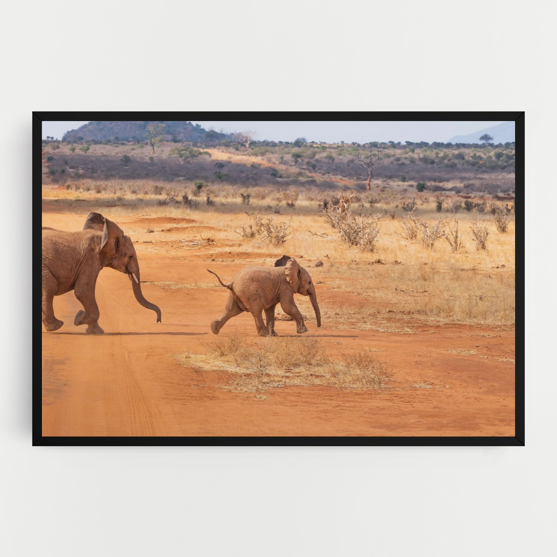 Desert Safari mockup 0