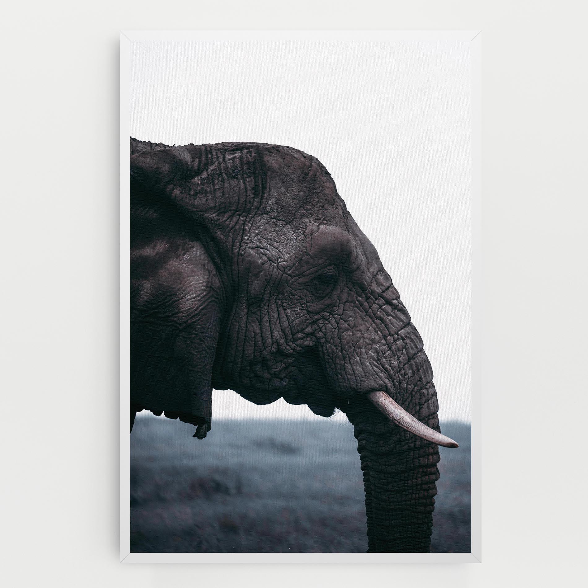 Leinwandbild Close Grey Eelephant mockup 0