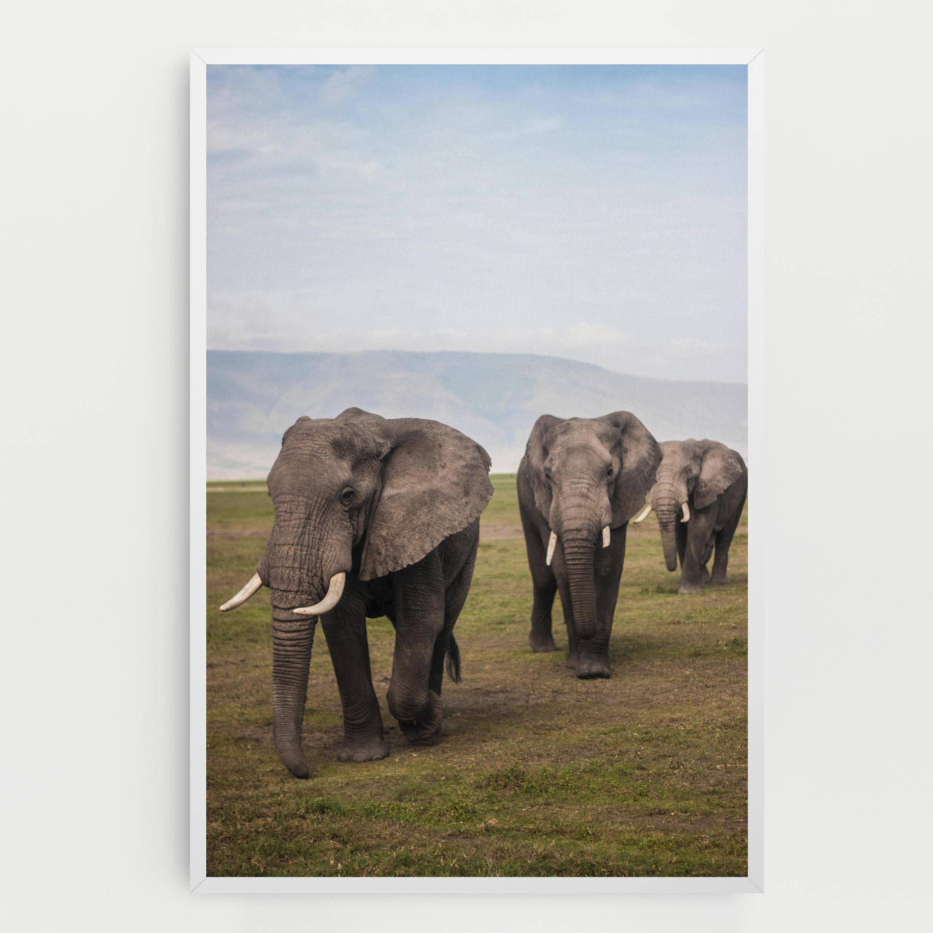 Leinwandbild Elephant Landscape mockup 0