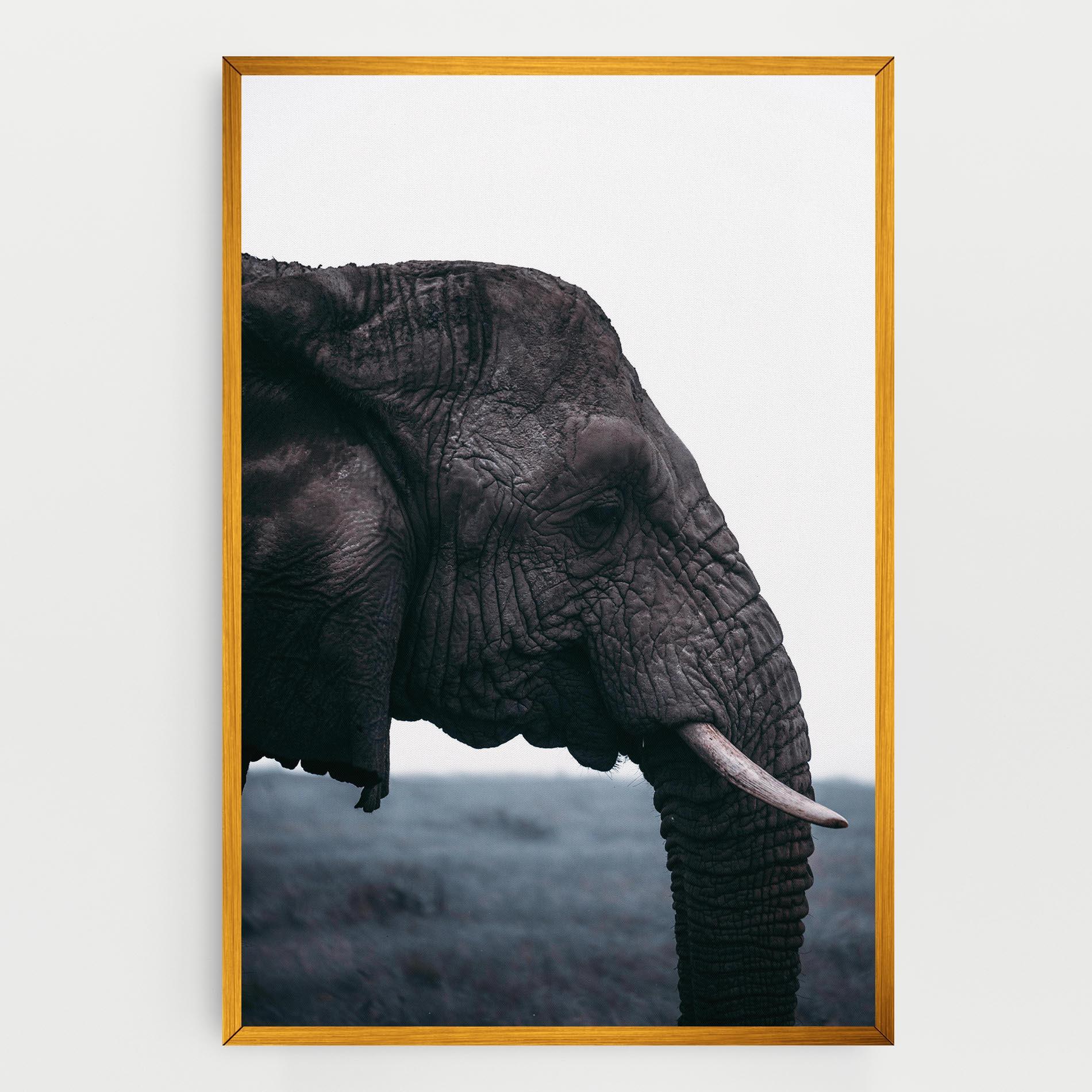 Leinwandbild Close Grey Eelephant mockup 0