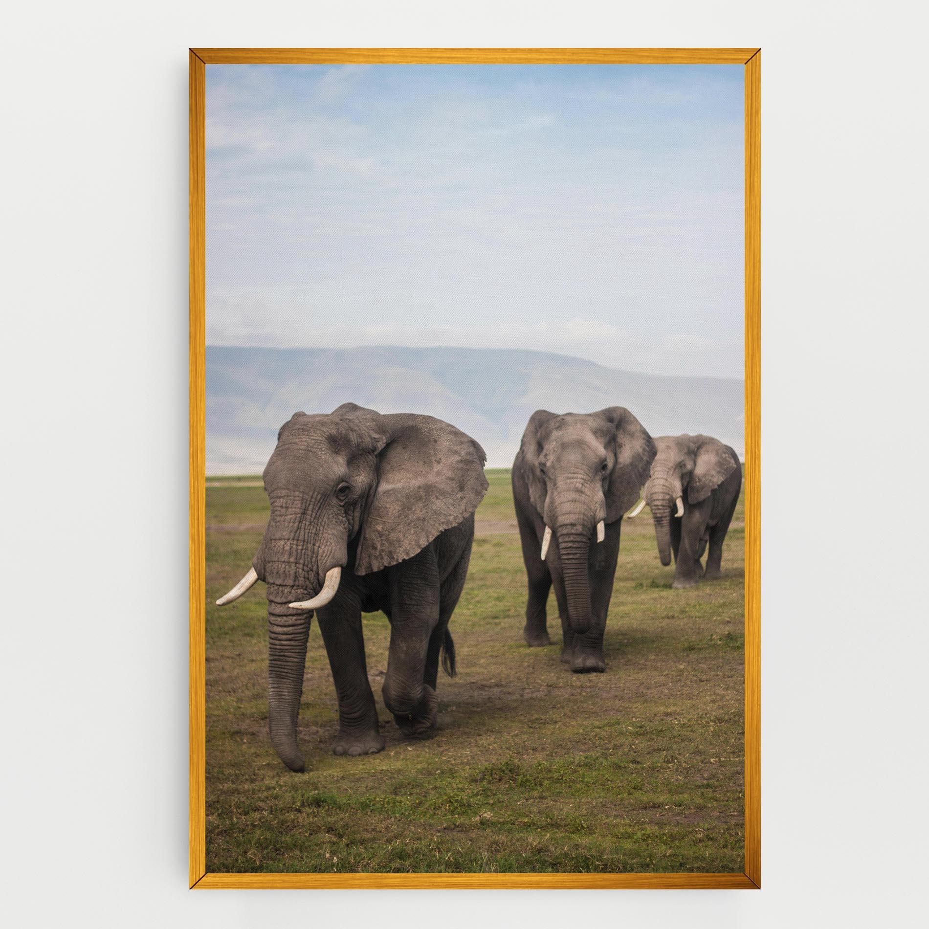 Leinwandbild Elephant Landscape mockup 0