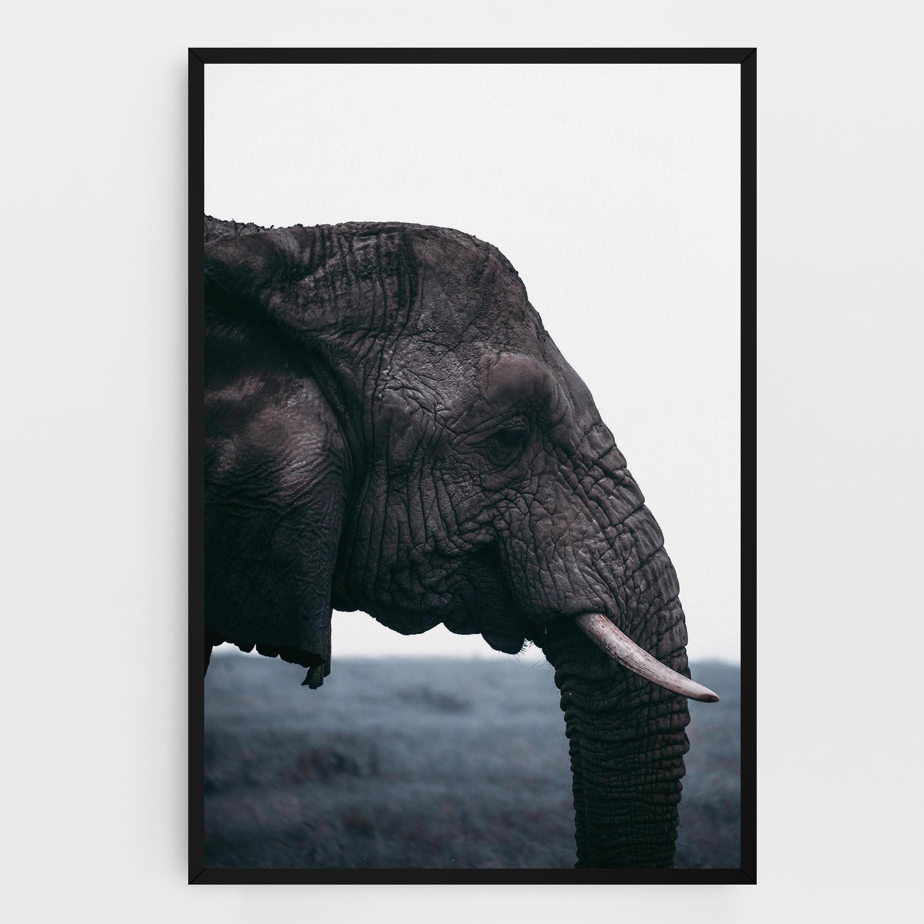 Leinwandbild Close Grey Eelephant mockup 0
