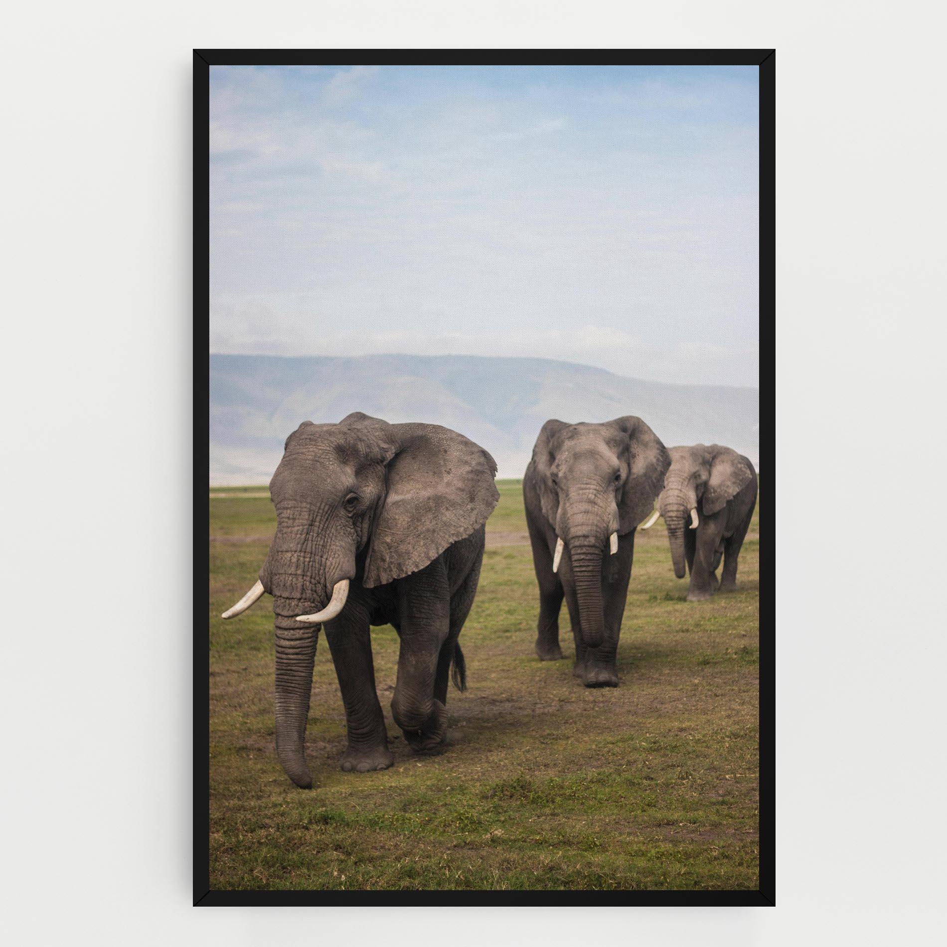 Leinwandbild Elephant Landscape mockup 0