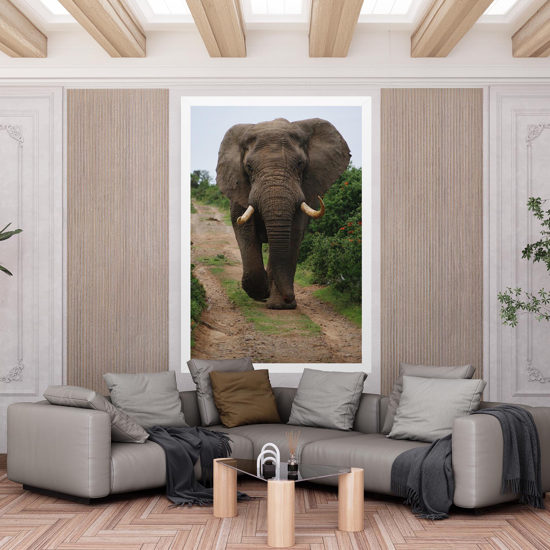 Leinwandbild Elephant Safari mockup 6