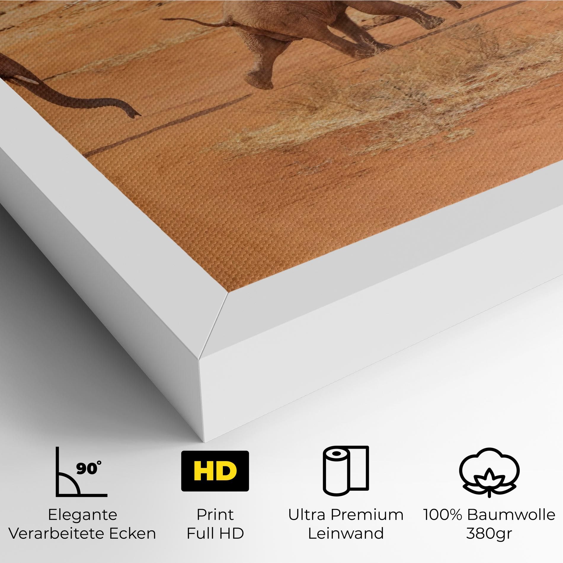 Desert Safari mockup 4