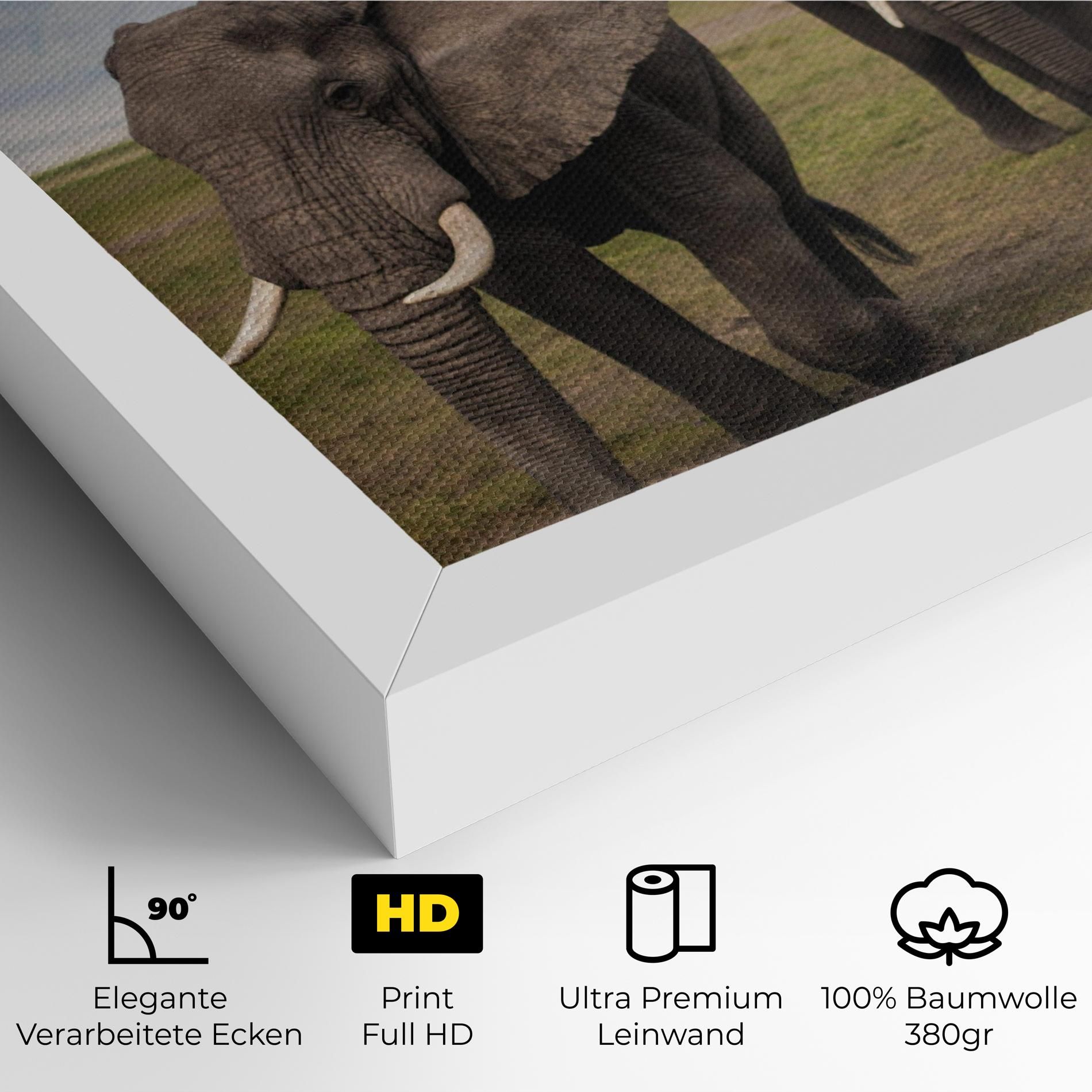 Elephant Landscape mockup 4