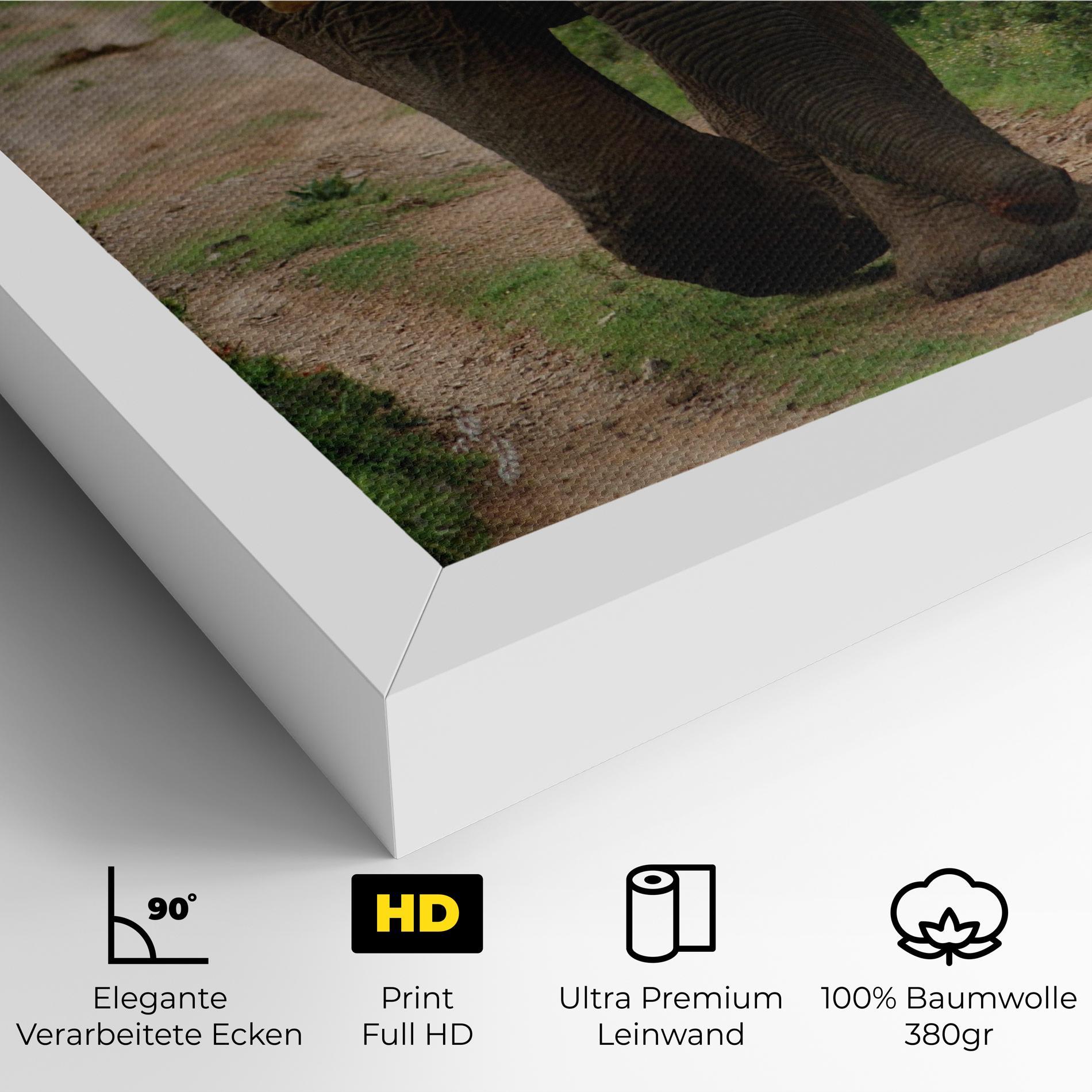 Leinwandbild Elephant Safari mockup 4