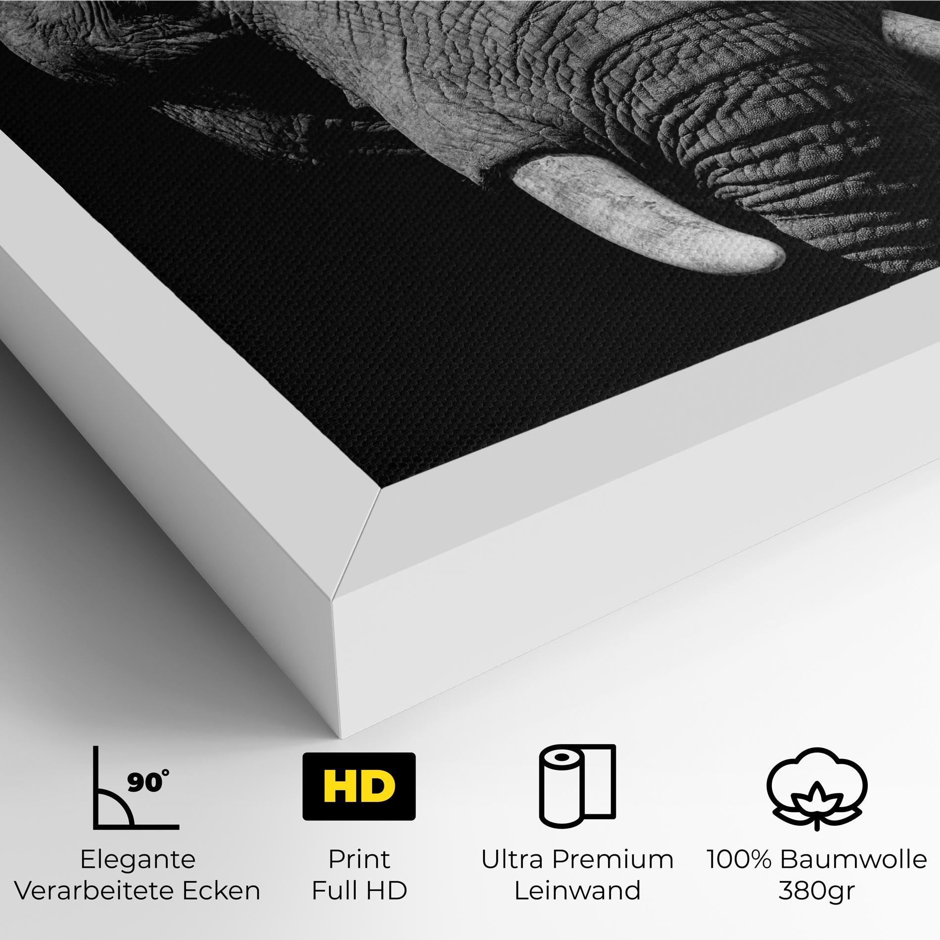 Leinwandbild Shadow Elephant mockup 4