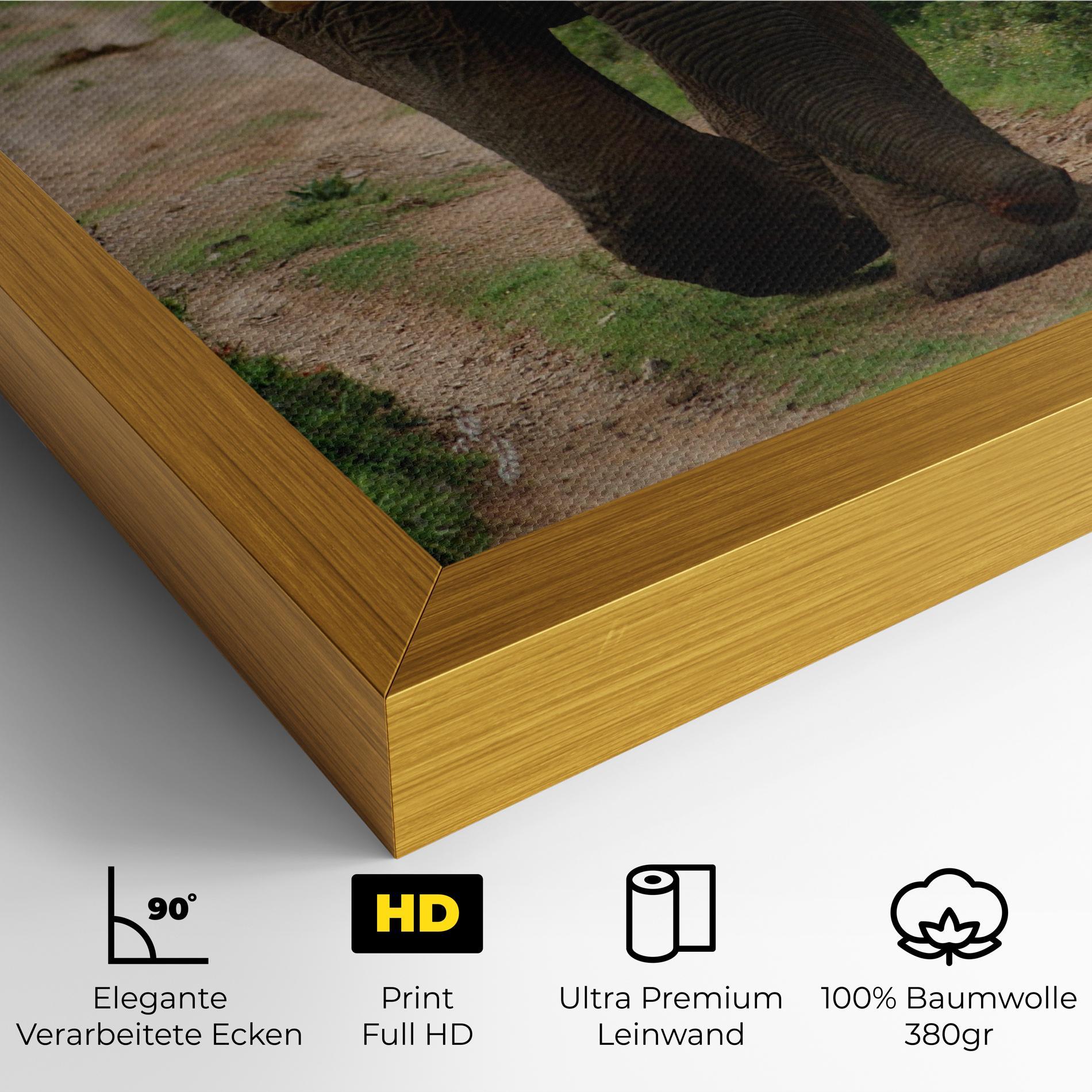 Leinwandbild Elephant Safari mockup 4