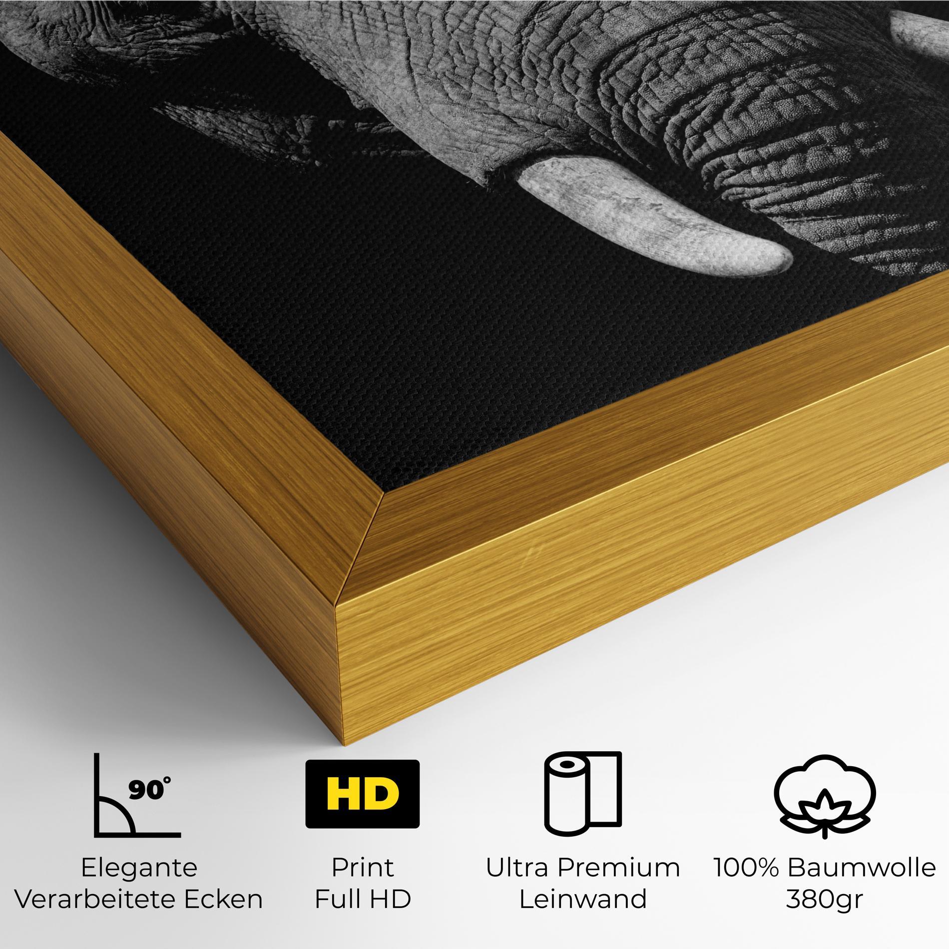 Leinwandbild Shadow Elephant mockup 4