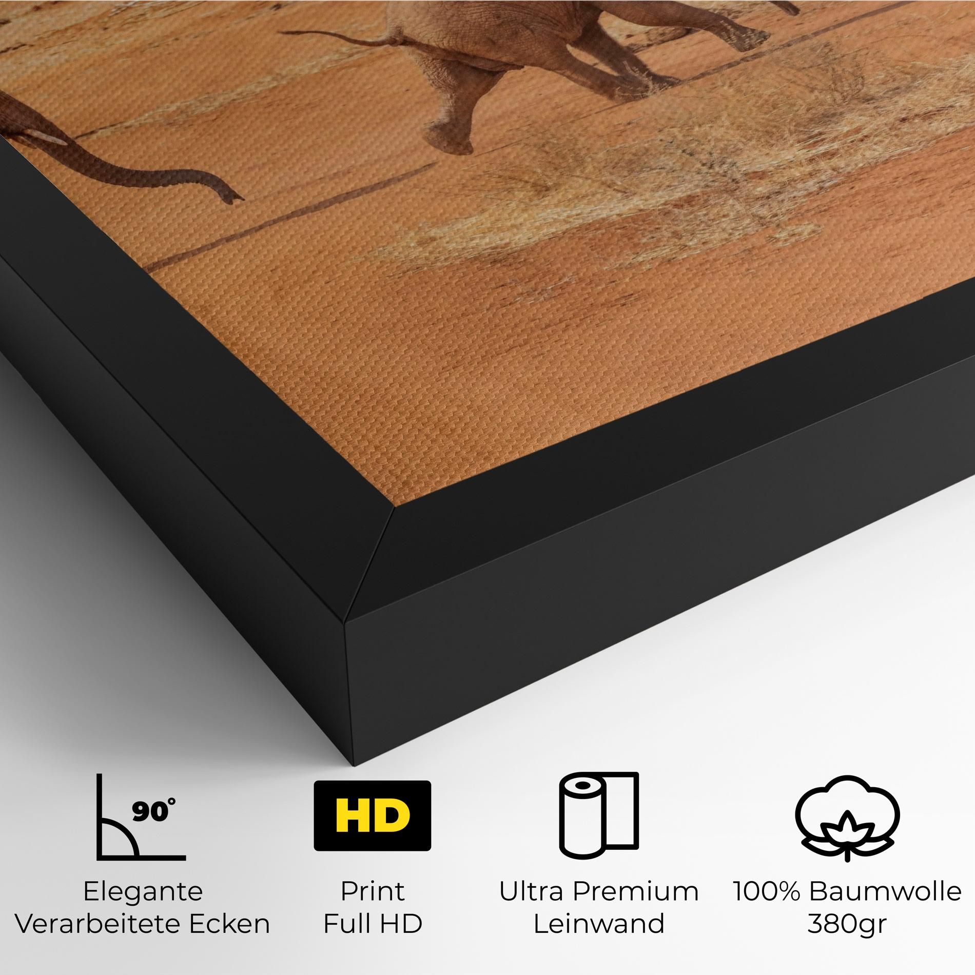 Desert Safari mockup 4