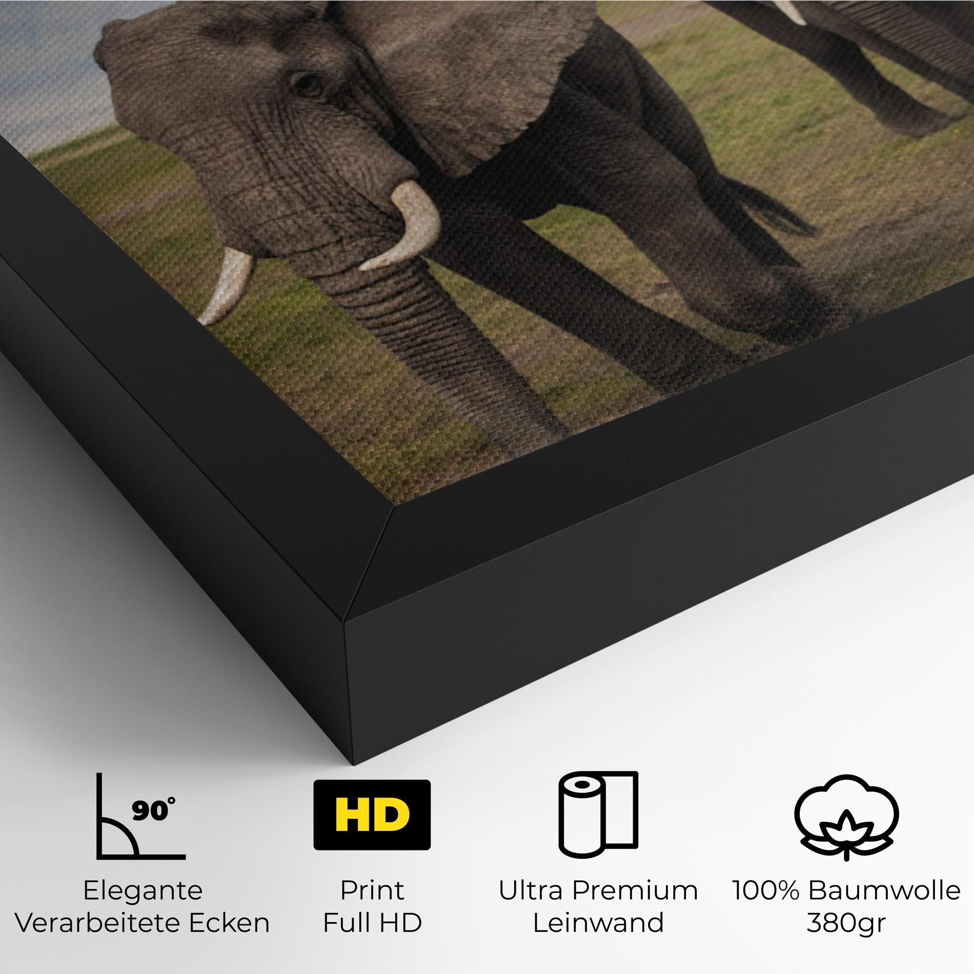 Elephant Landscape mockup 4