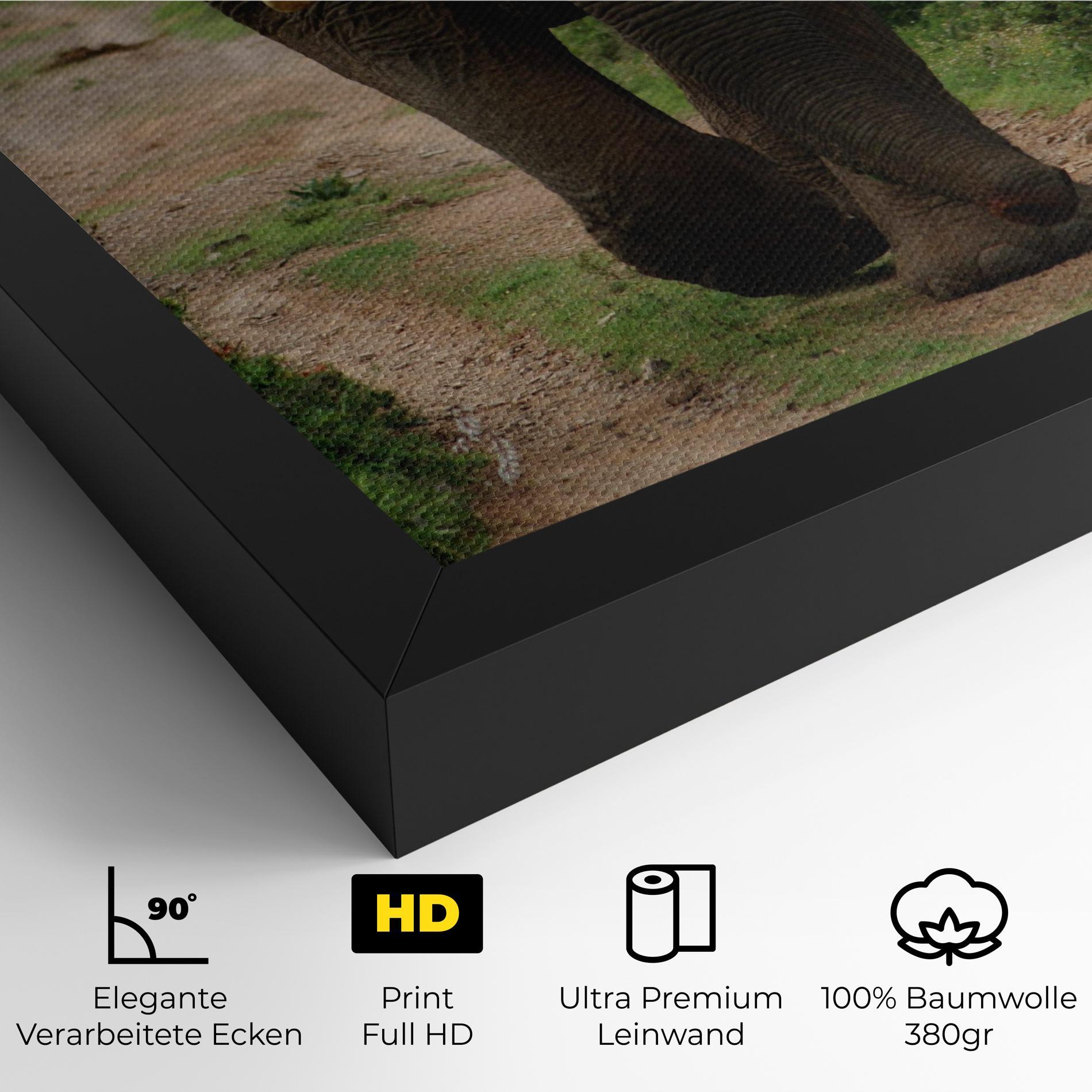 Leinwandbild Elephant Safari mockup 4