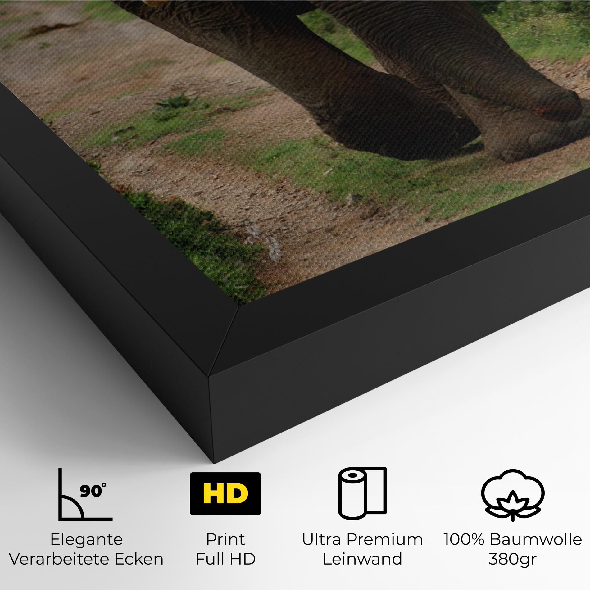 Elephant Safari mockup 4