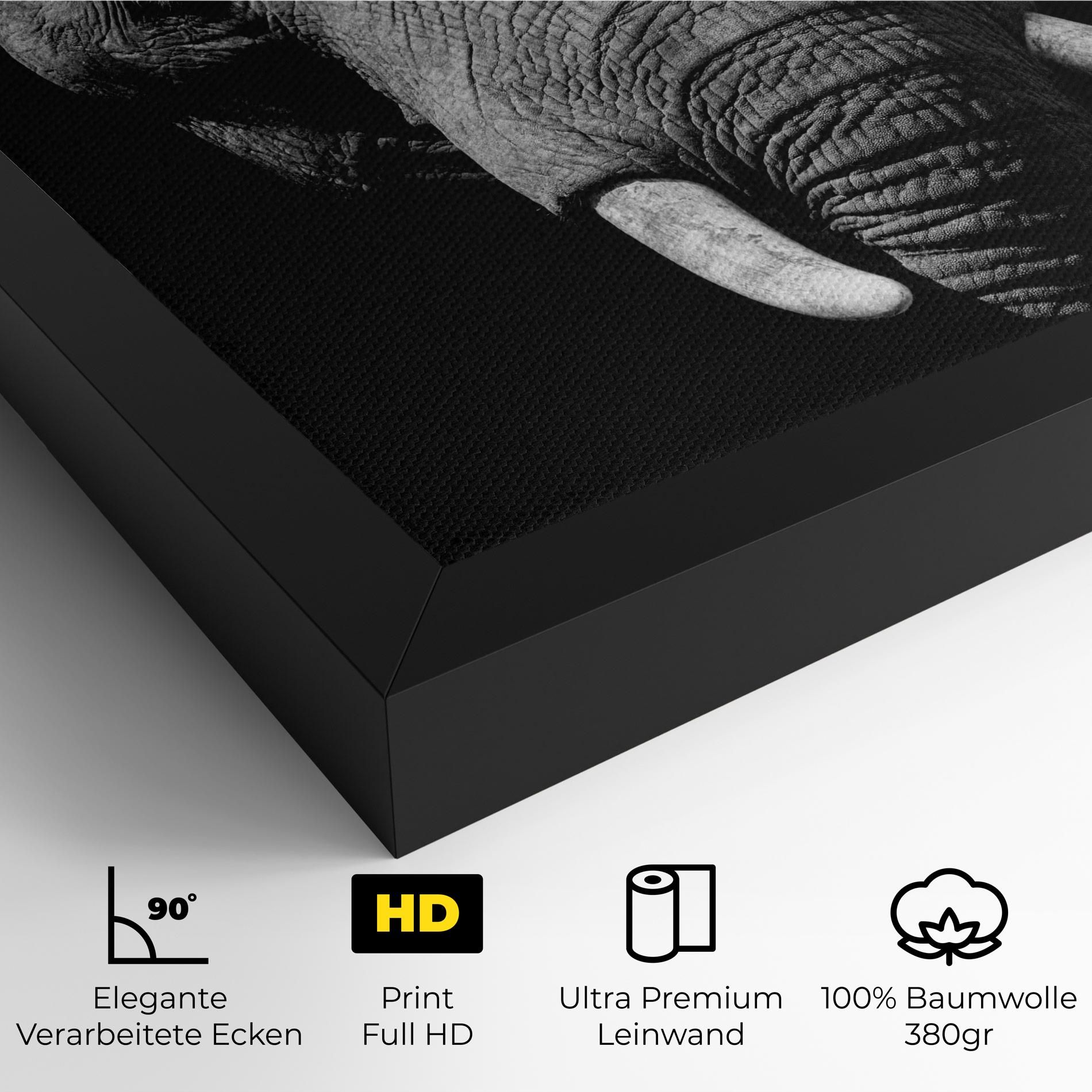 Shadow Elephant mockup 4