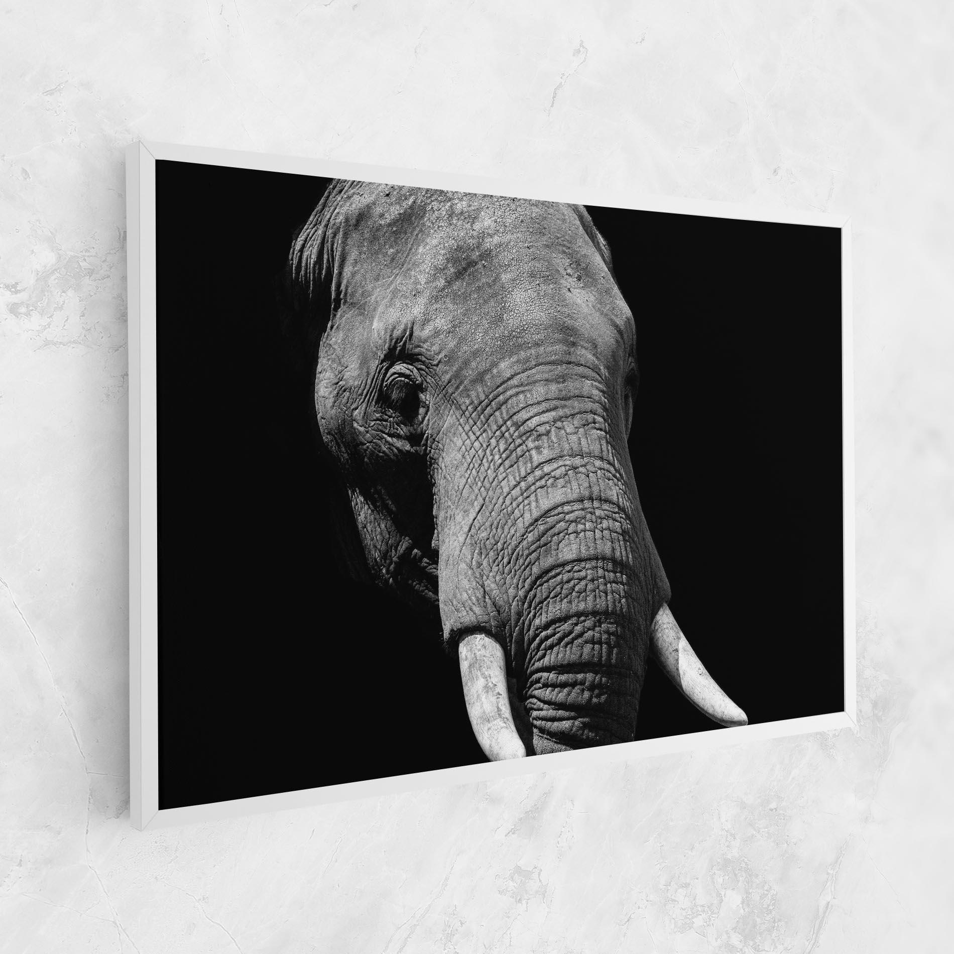 Leinwandbild Shadow Elephant mockup 1