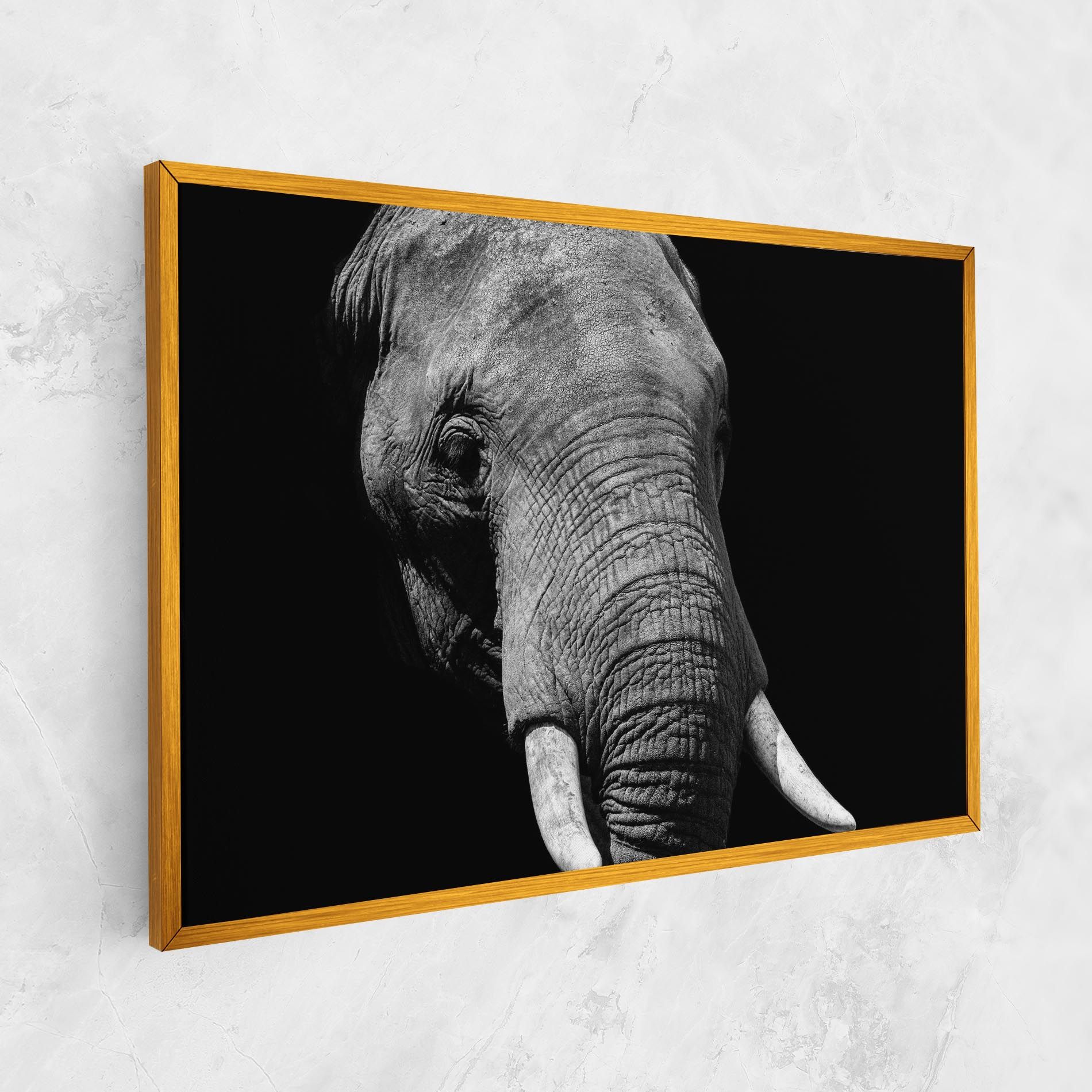 Shadow Elephant mockup 1