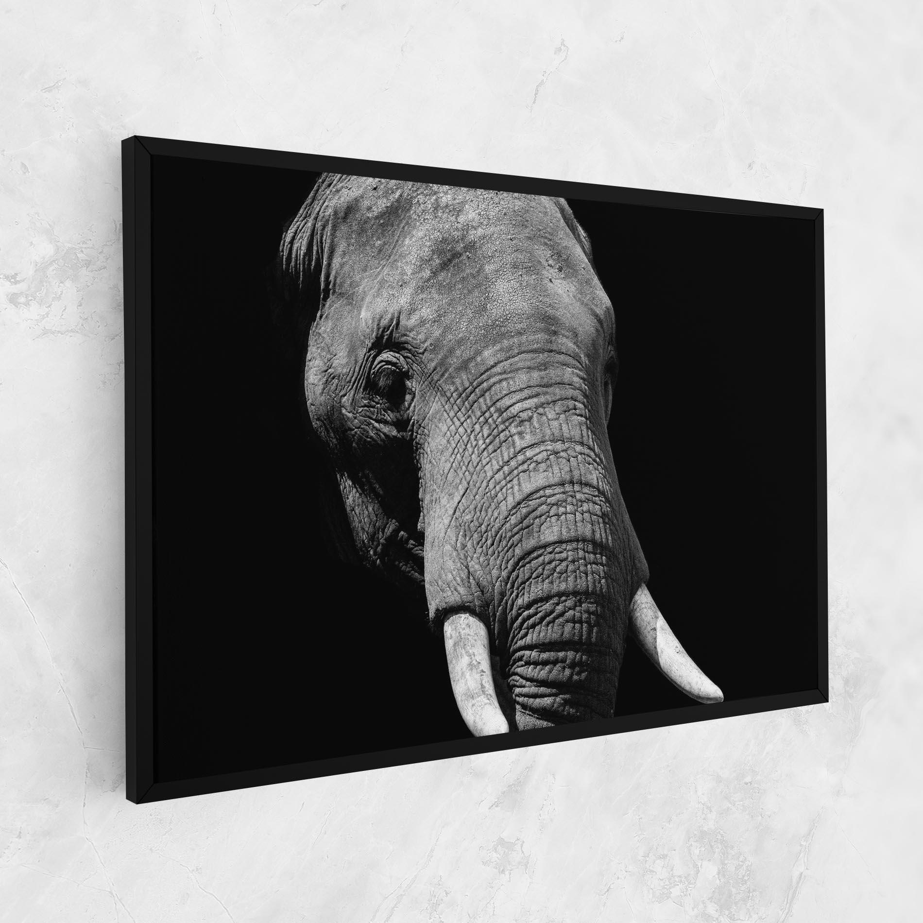 Leinwandbild Shadow Elephant mockup 1