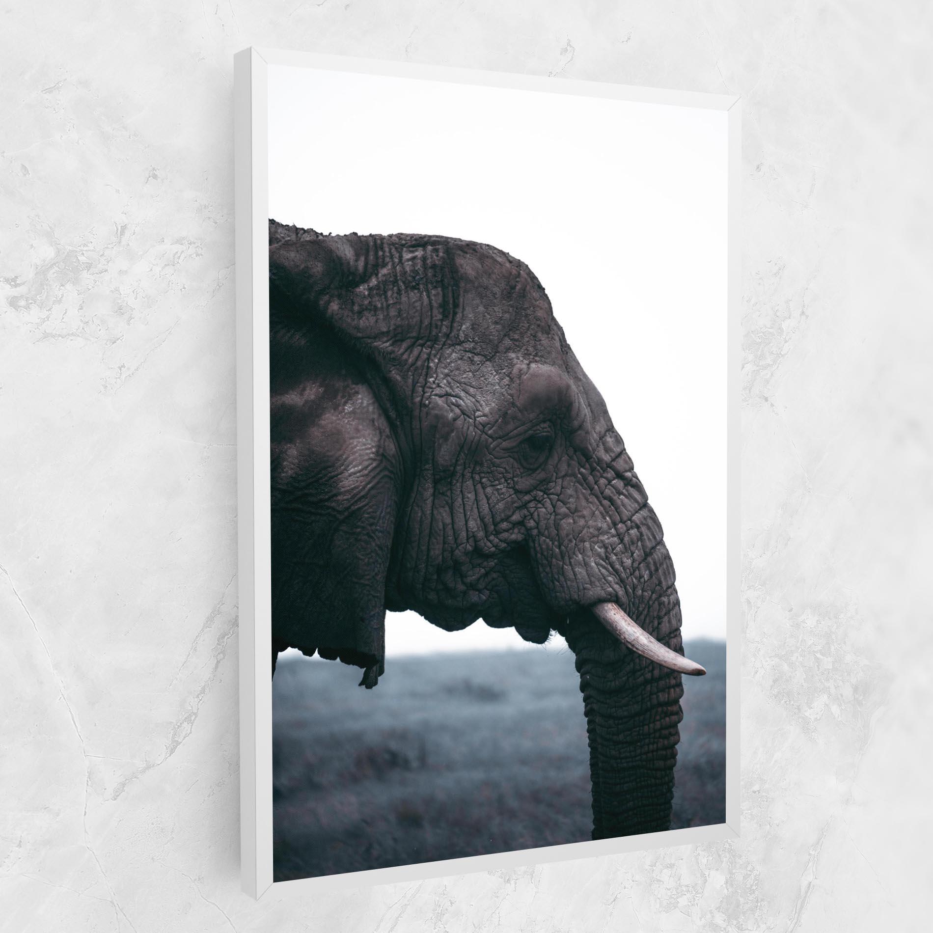 Leinwandbild Close Grey Eelephant mockup 1