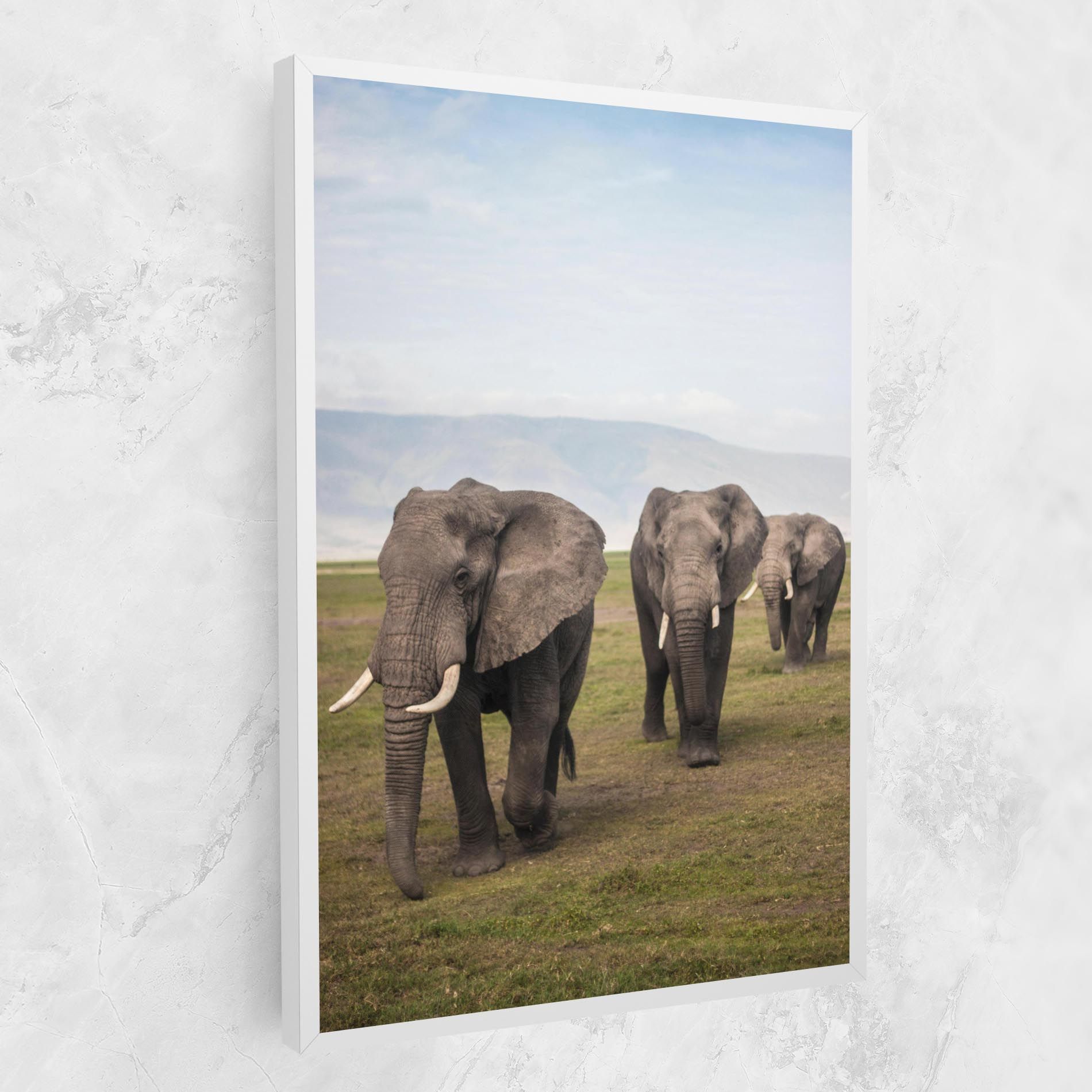 Elephant Landscape mockup 1