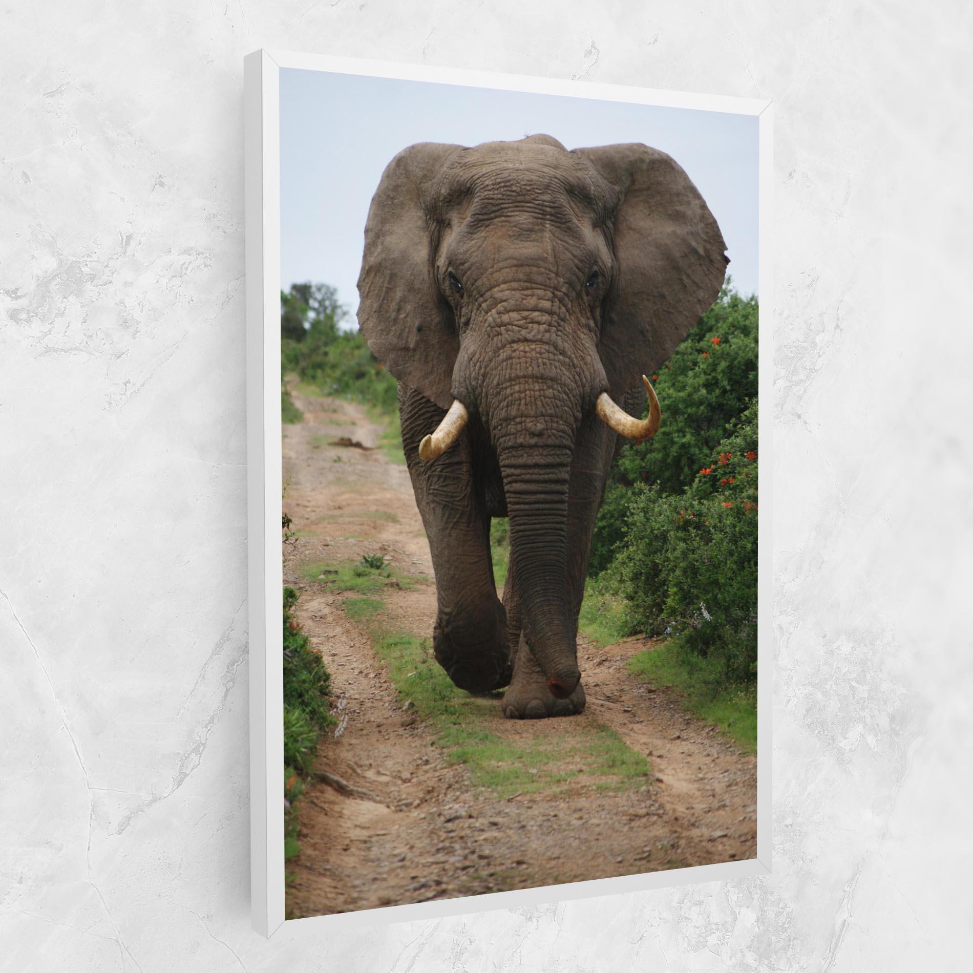 Leinwandbild Elephant Safari mockup 1