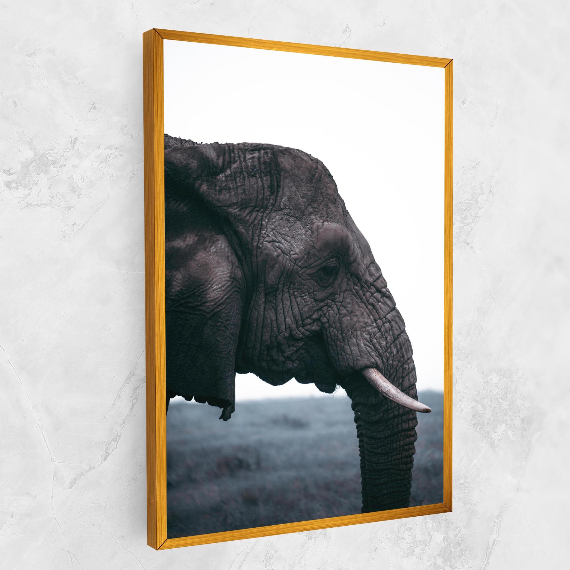 Leinwandbild Close Grey Eelephant mockup 1