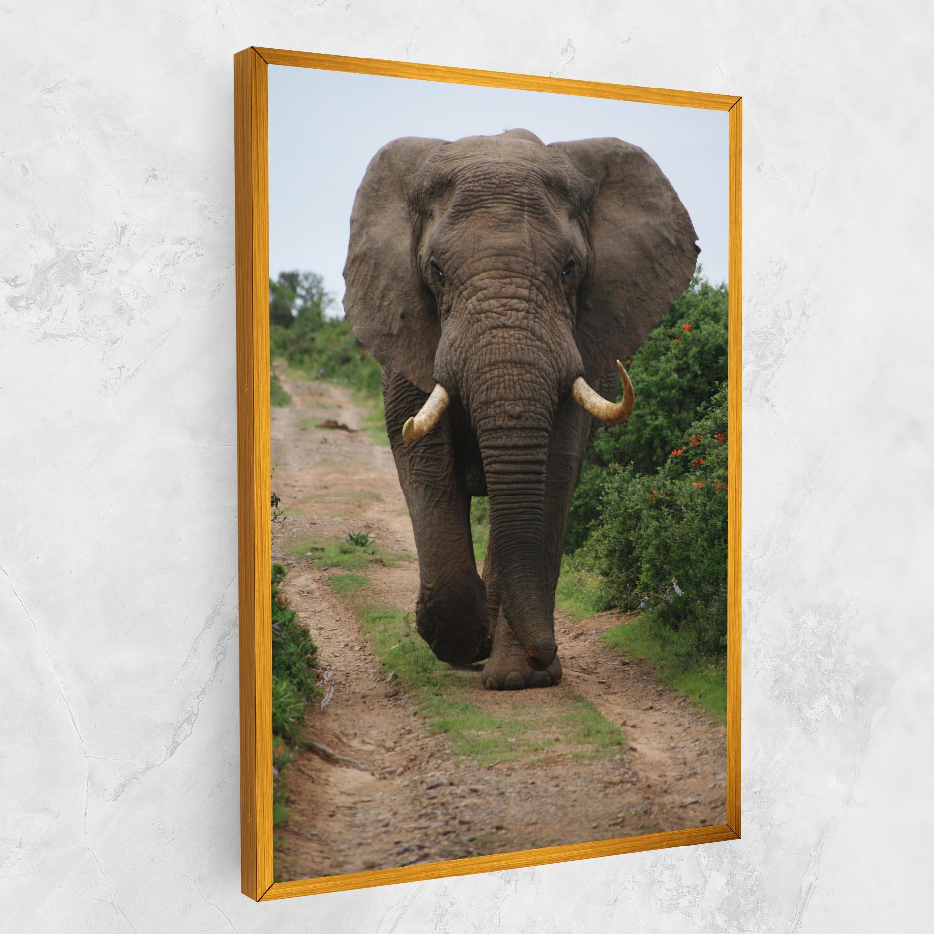 Leinwandbild Elephant Safari mockup 1