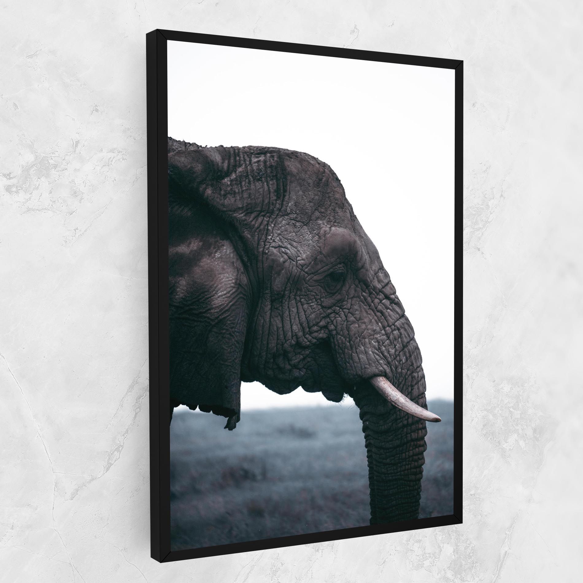 Close Grey Eelephant mockup 1