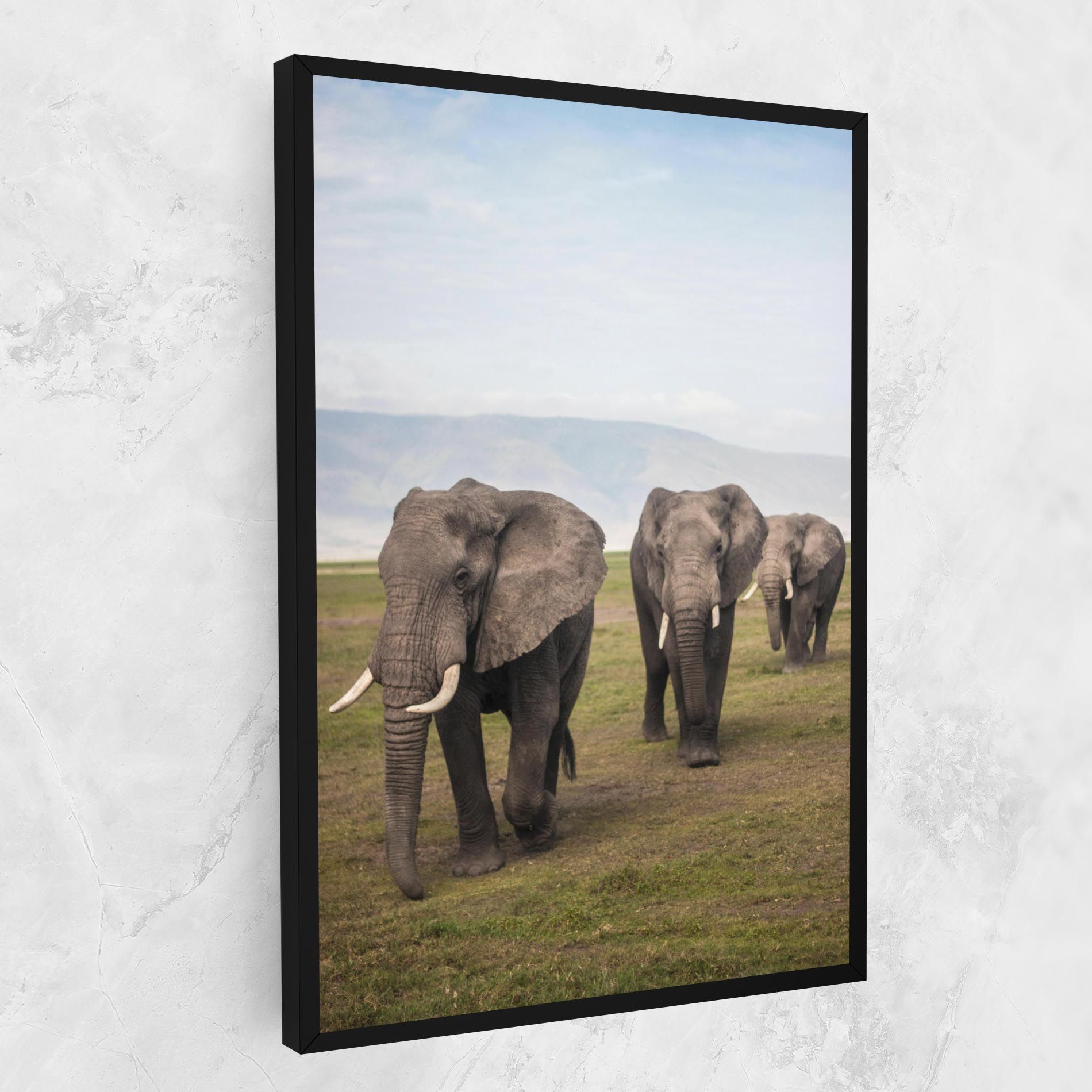 Elephant Landscape mockup 1