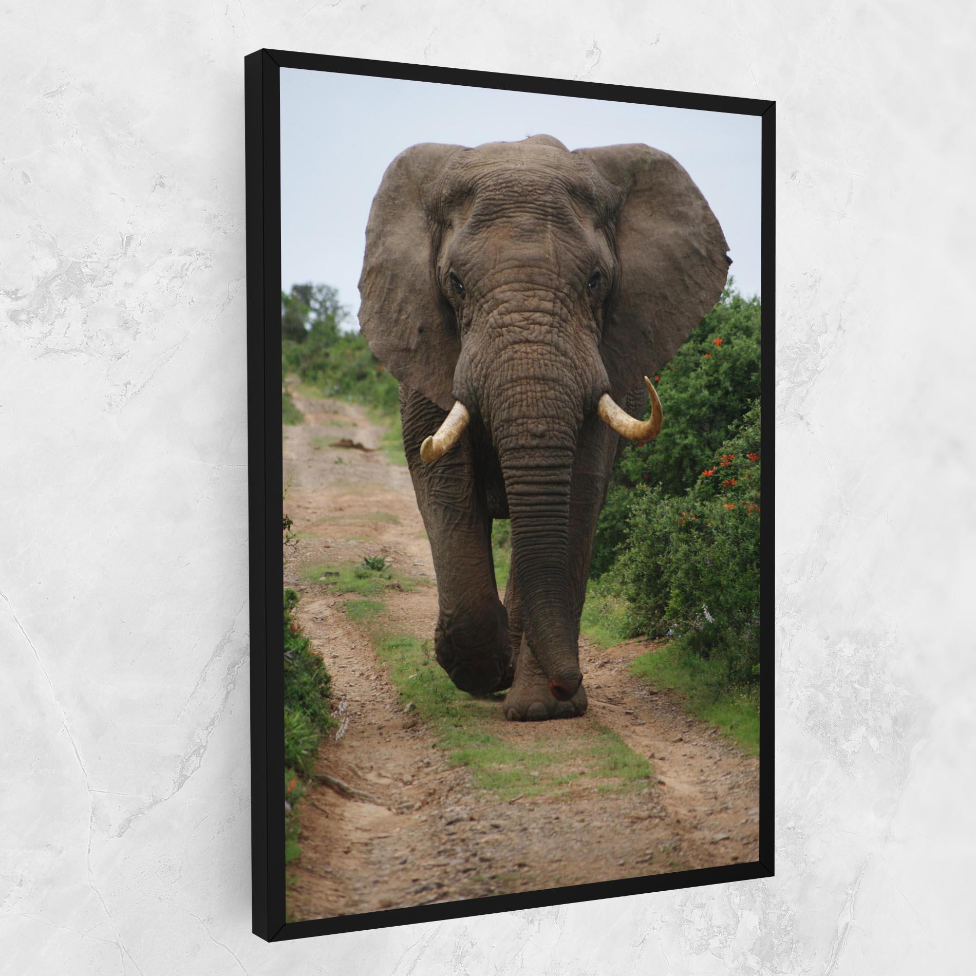 Leinwandbild Elephant Safari mockup 1