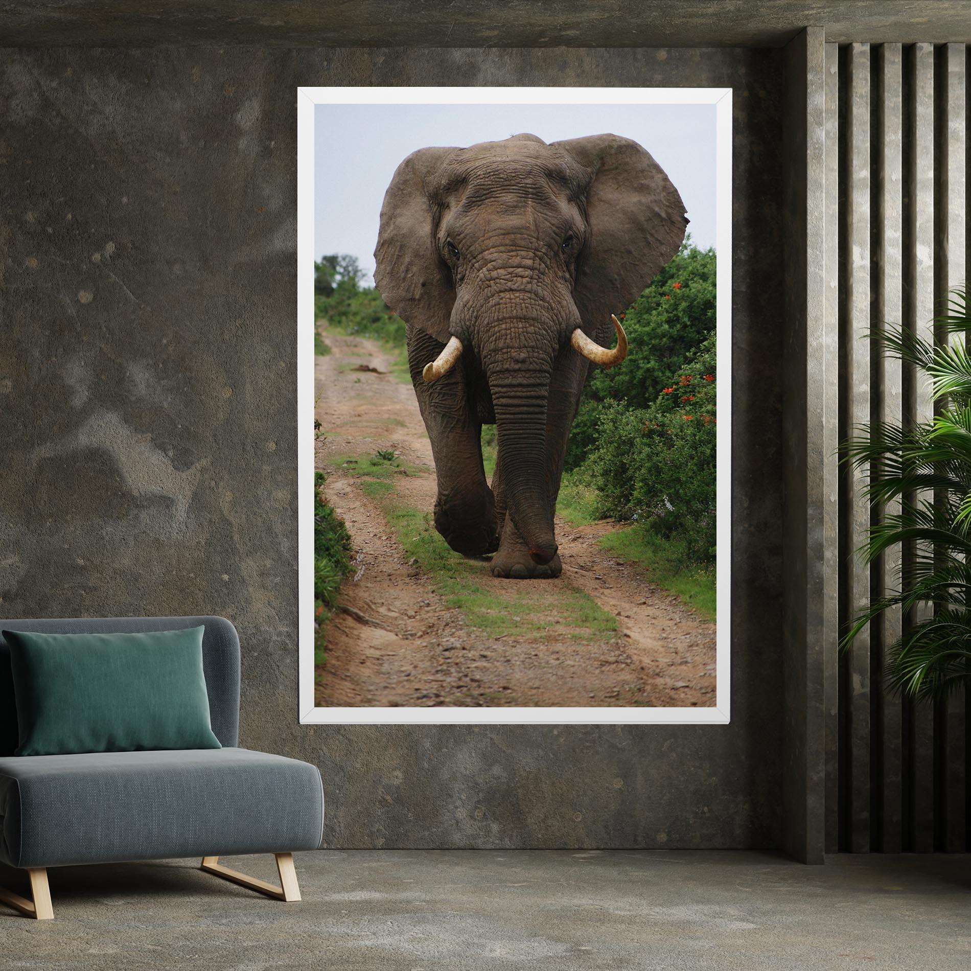 Leinwandbild Elephant Safari mockup 7