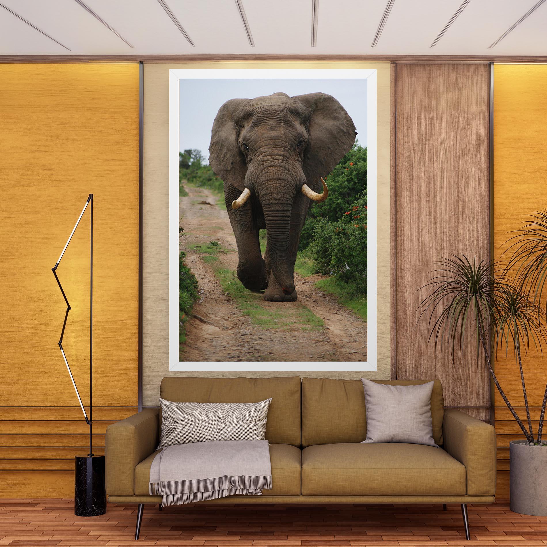 Leinwandbild Elephant Safari mockup 9