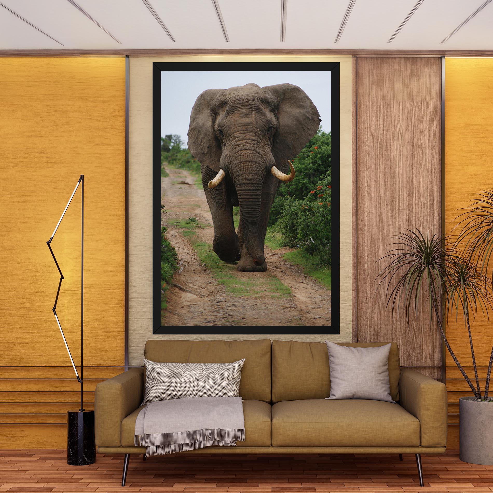 Leinwandbild Elephant Safari mockup 9