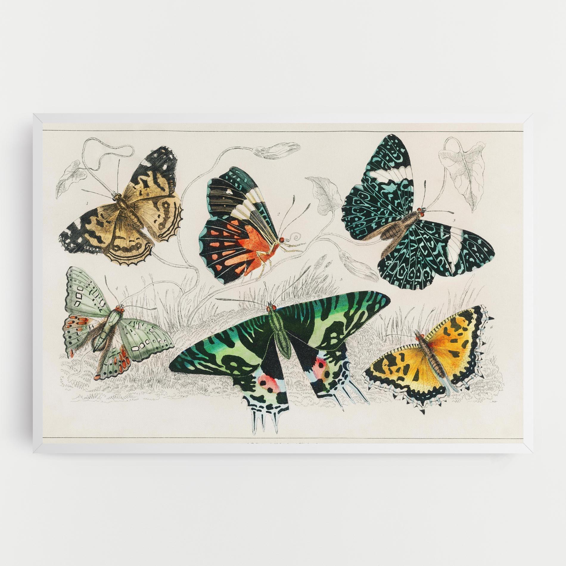 Leinwandbild Butterfly Art mockup 0