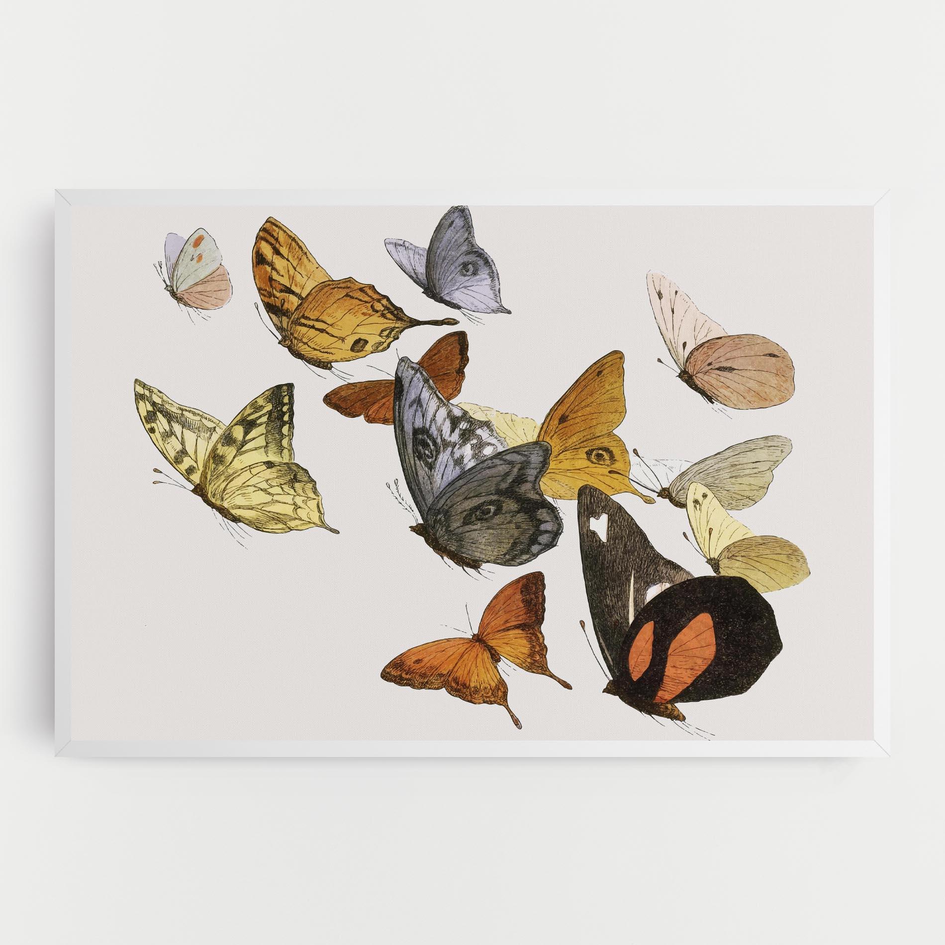 Leinwandbild Butterfly Floating mockup 0