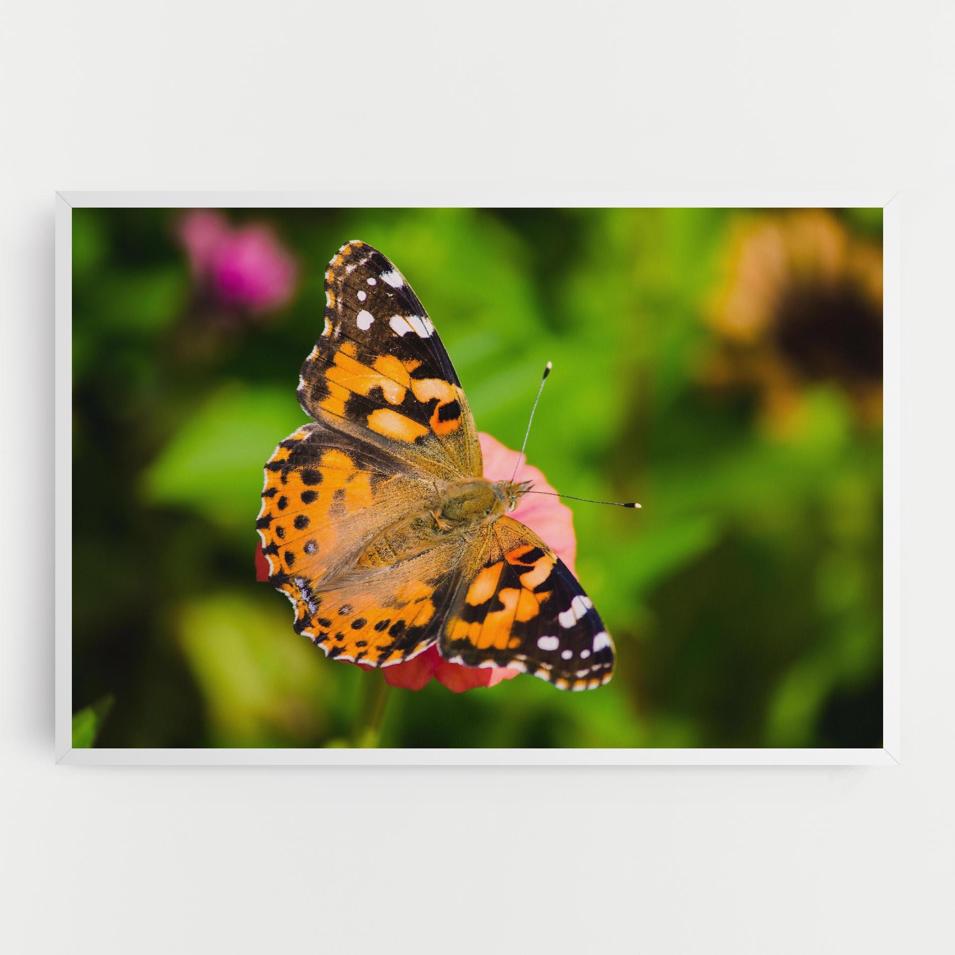 Leinwandbild Butterfly On Flower mockup 0