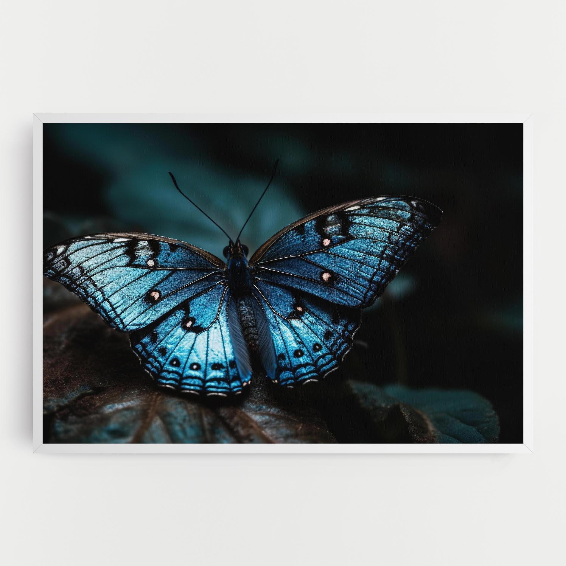 Leinwandbild Dark Blue Buterfly mockup 0