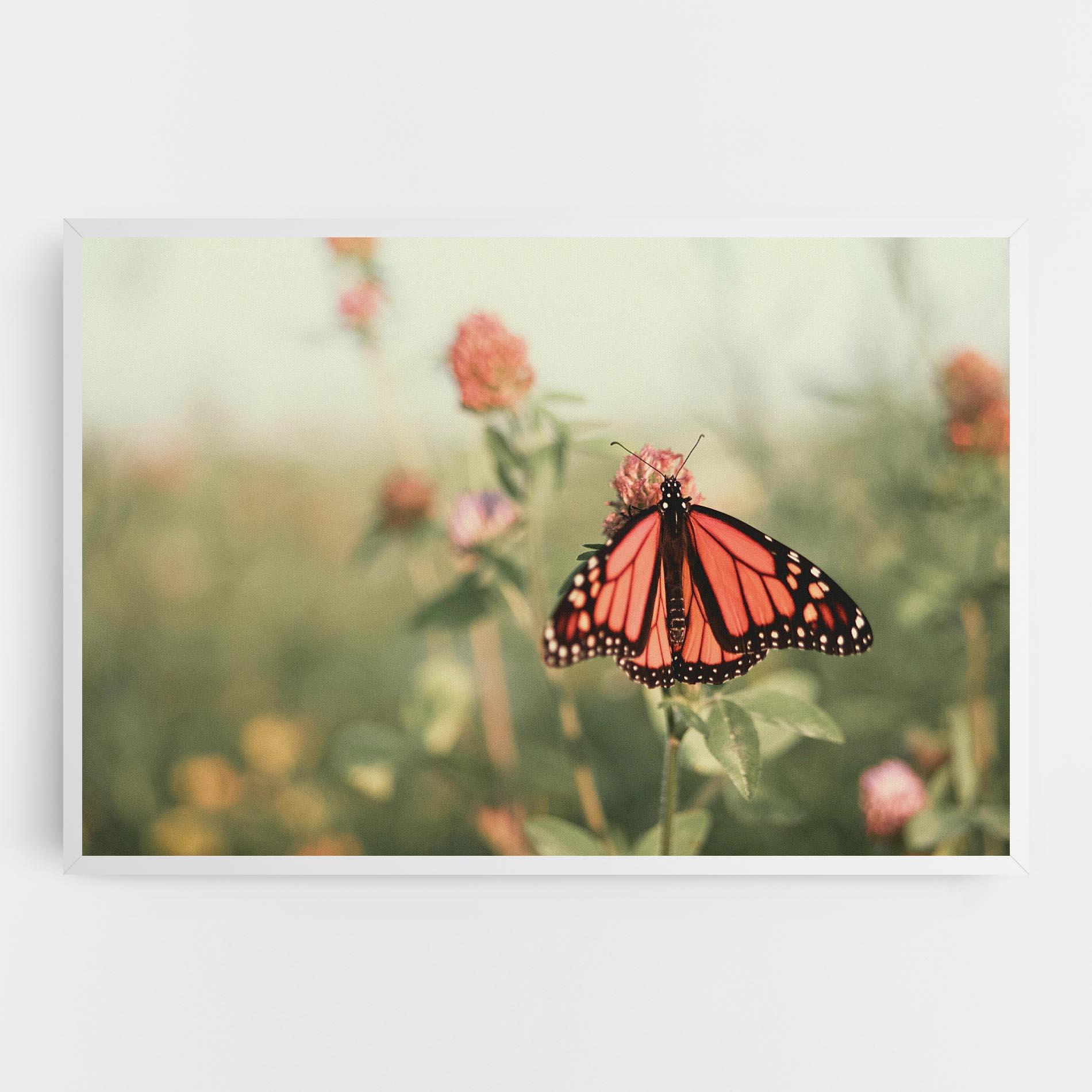 Leinwandbild Light Red Butterfly mockup 0