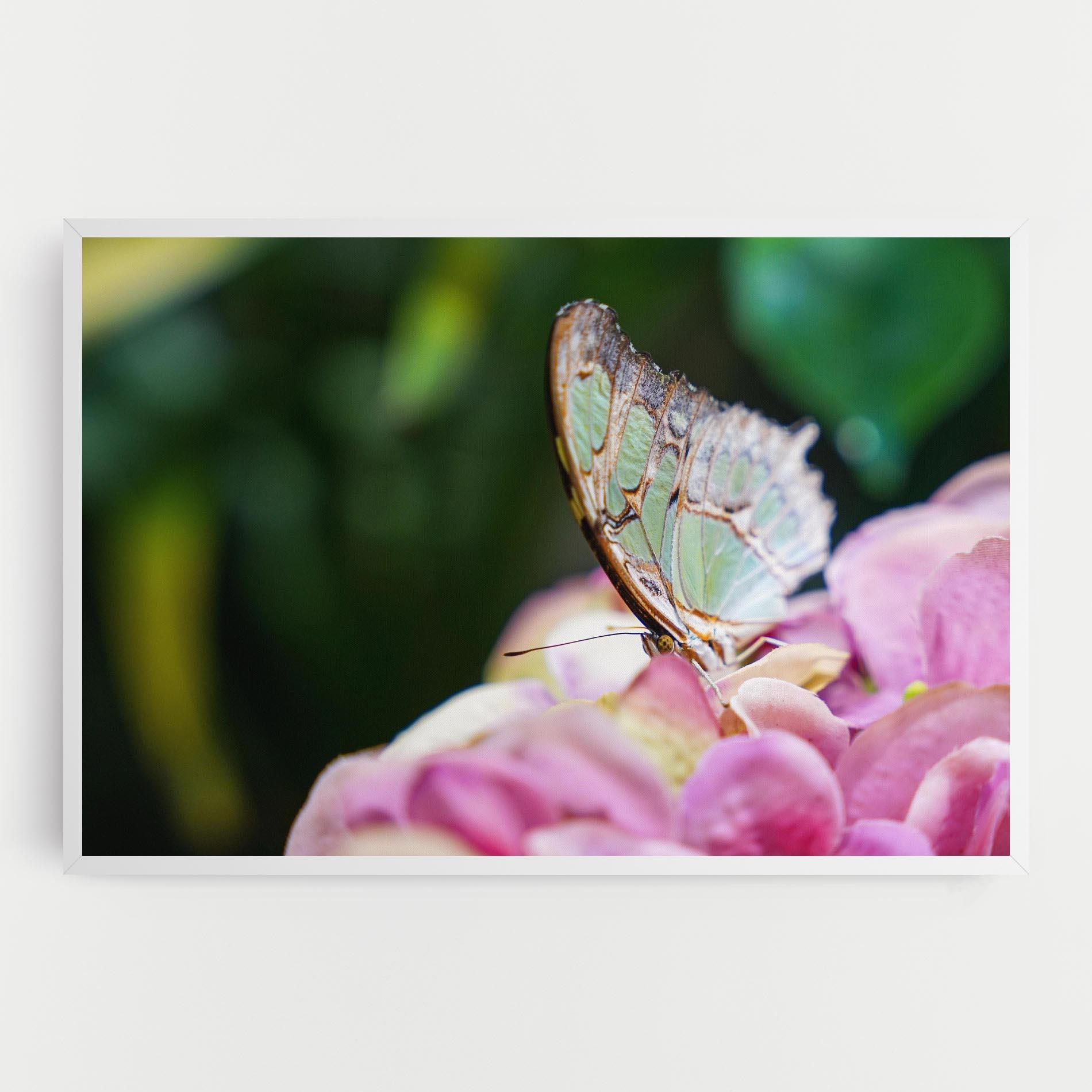 Leinwandbild Nazrin Babashova DiUUmQMFWys Unsplash mockup 0