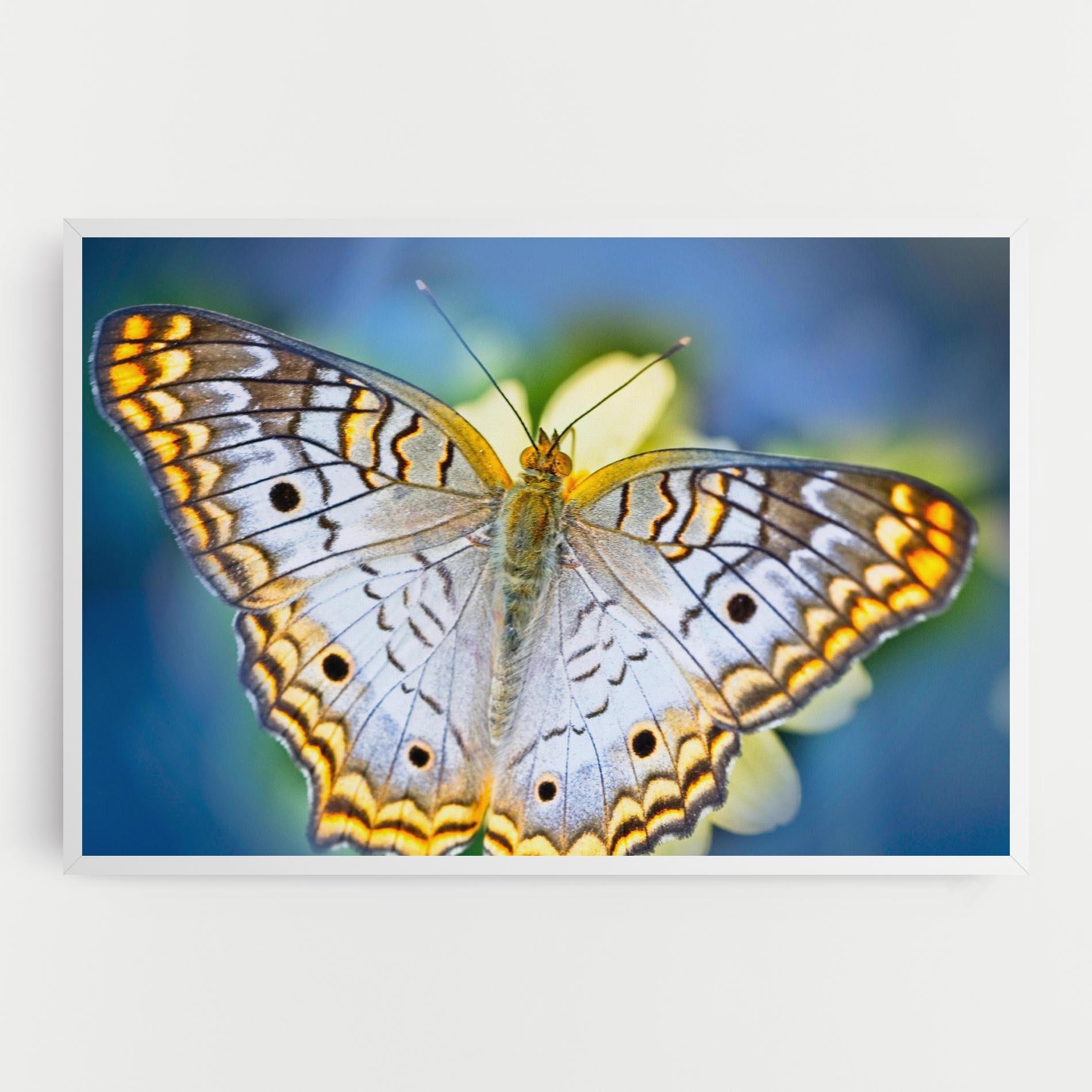 Leinwandbild Yellow Grey Butterfly mockup 0