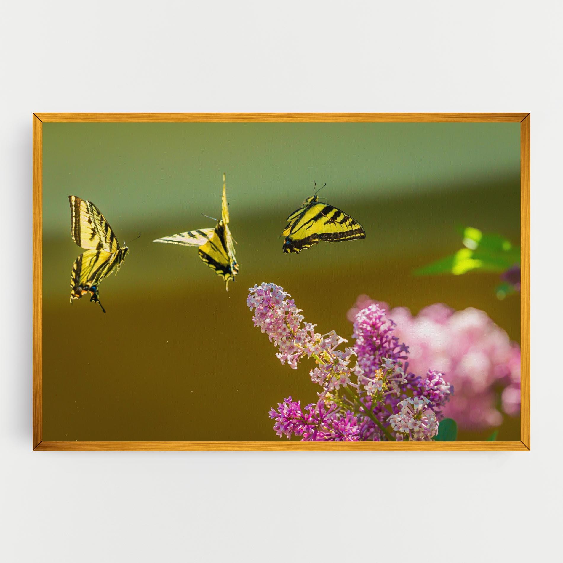 Leinwandbild 3 Yellow Butterflies mockup 0