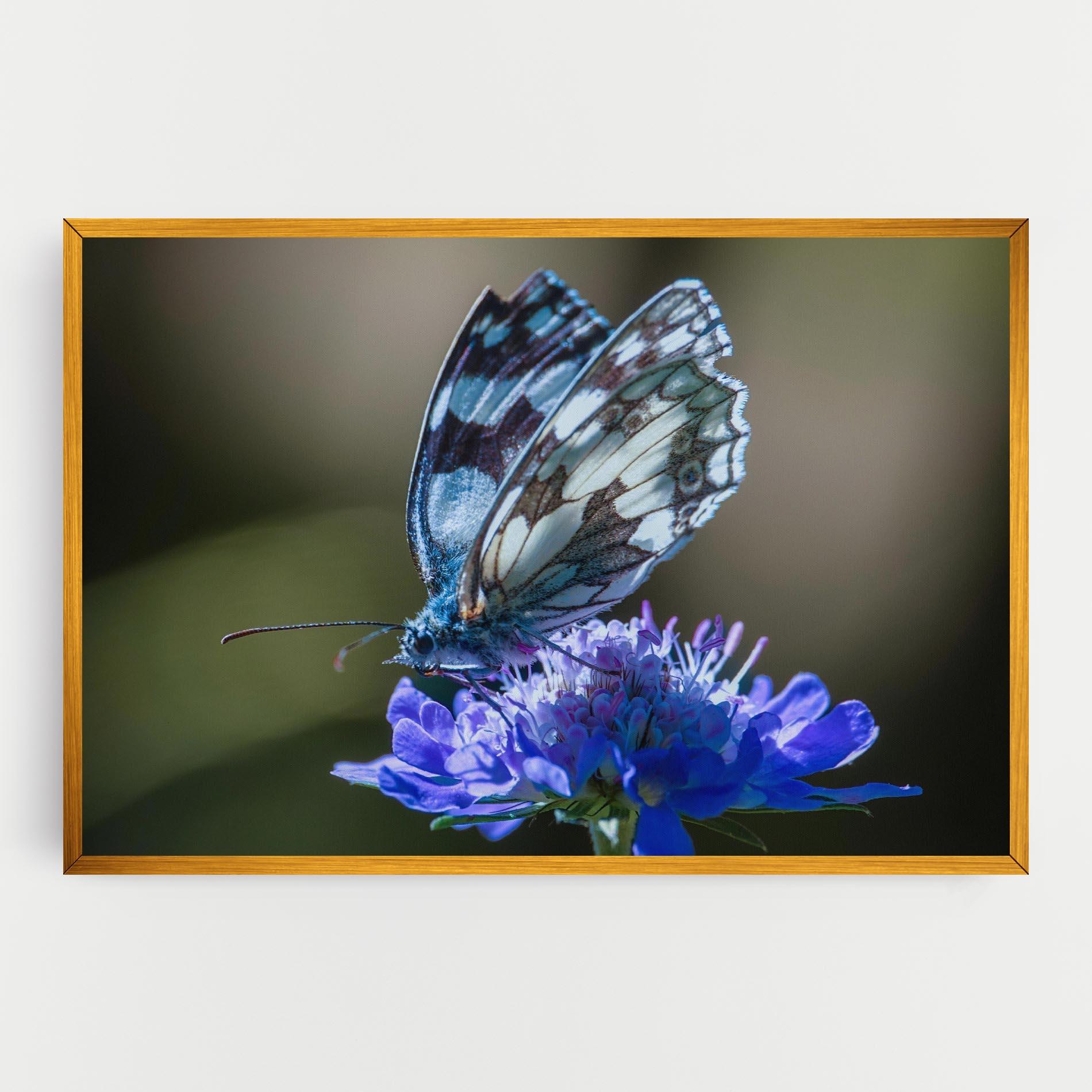 Leinwandbild Blue Butterfly In Nature mockup 0