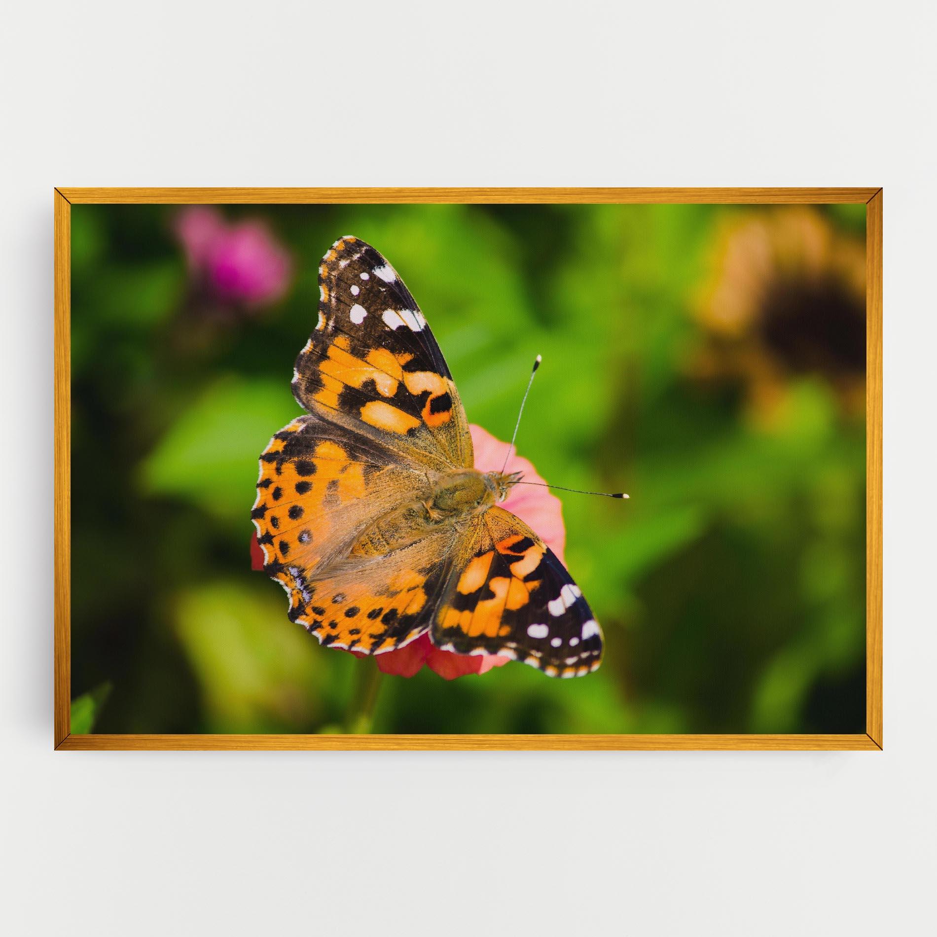 Leinwandbild Butterfly On Flower mockup 0