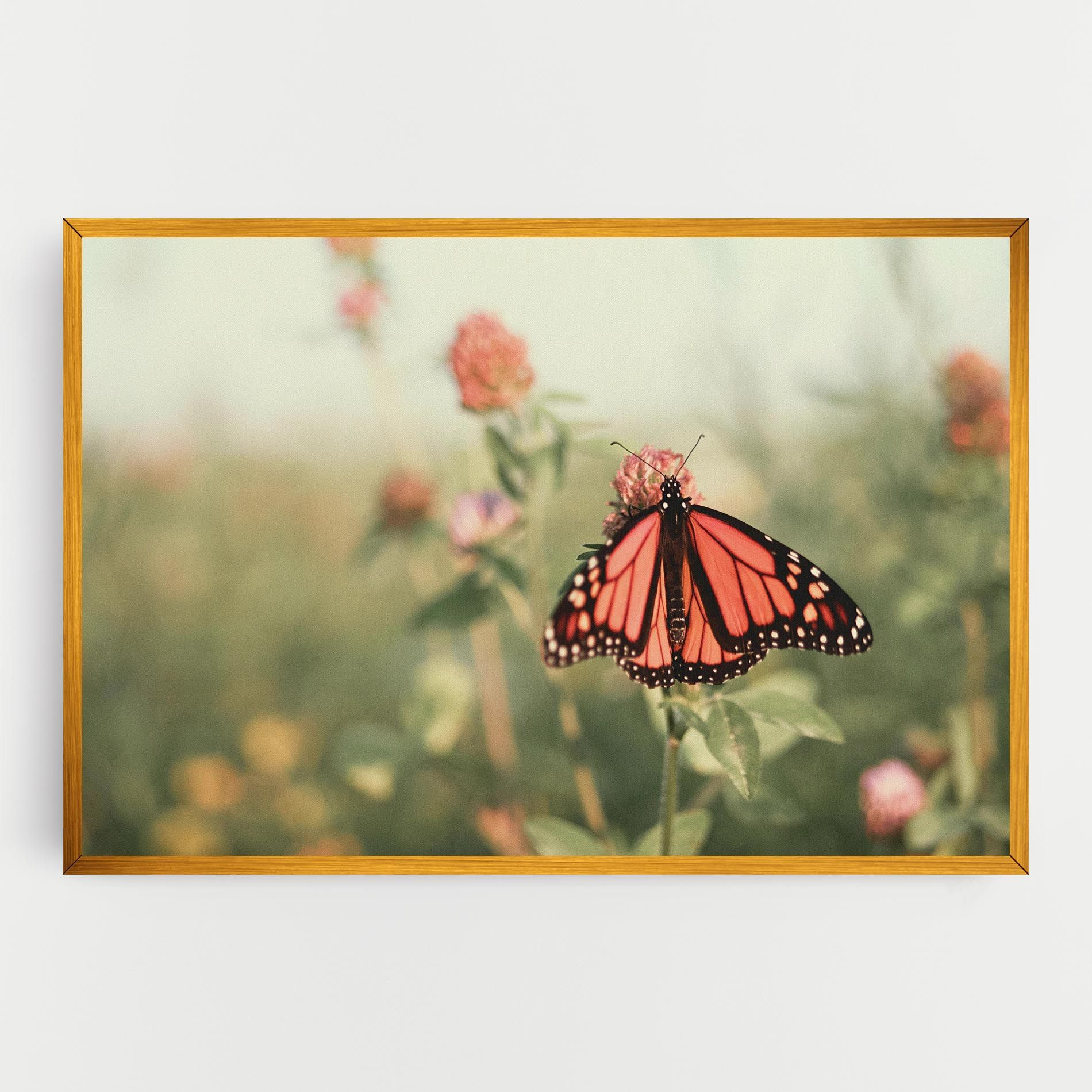 Light Red Butterfly mockup 0