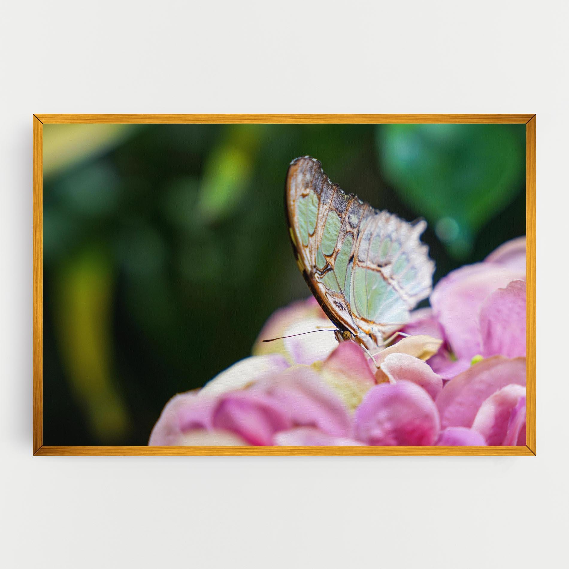 Leinwandbild Nazrin Babashova DiUUmQMFWys Unsplash mockup 0