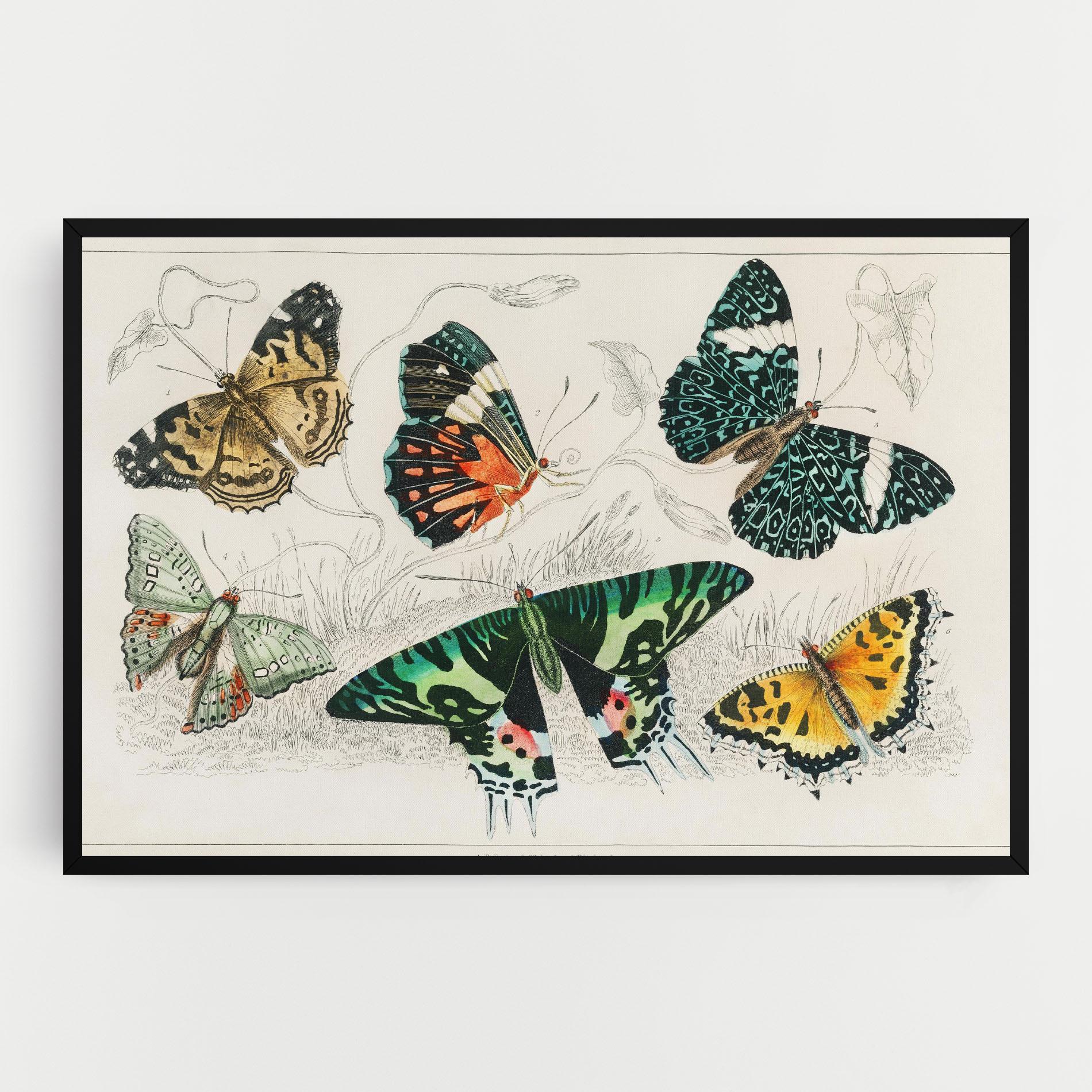 Leinwandbild Butterfly Art mockup 0