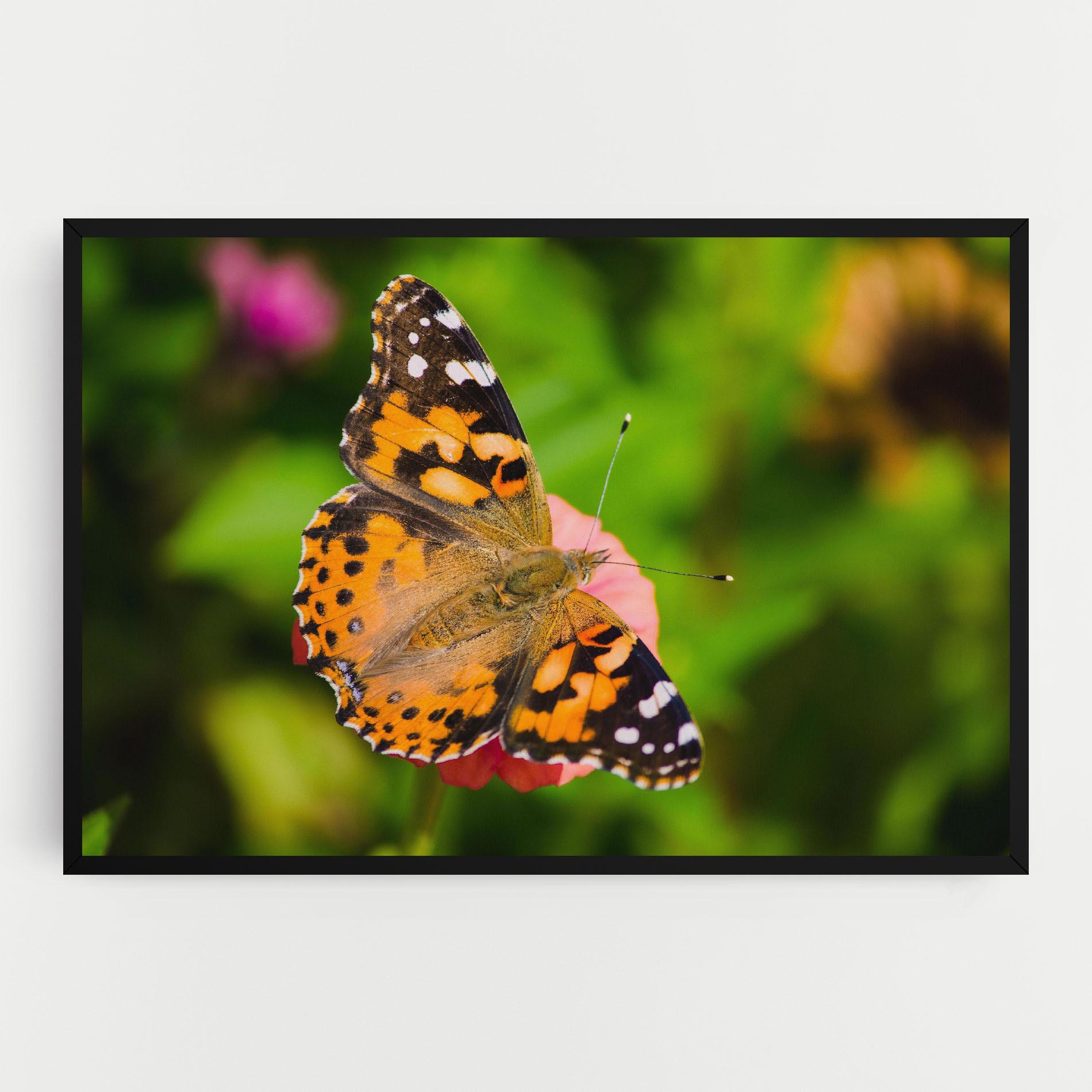 Leinwandbild Butterfly On Flower mockup 0